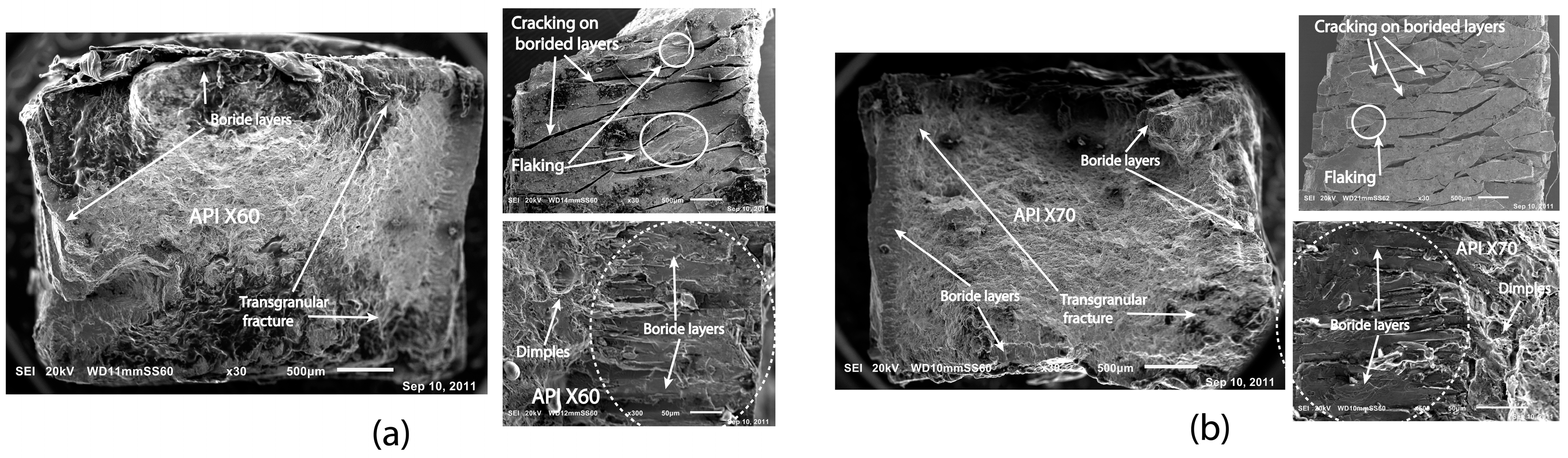 Coatings 14 00912 g008