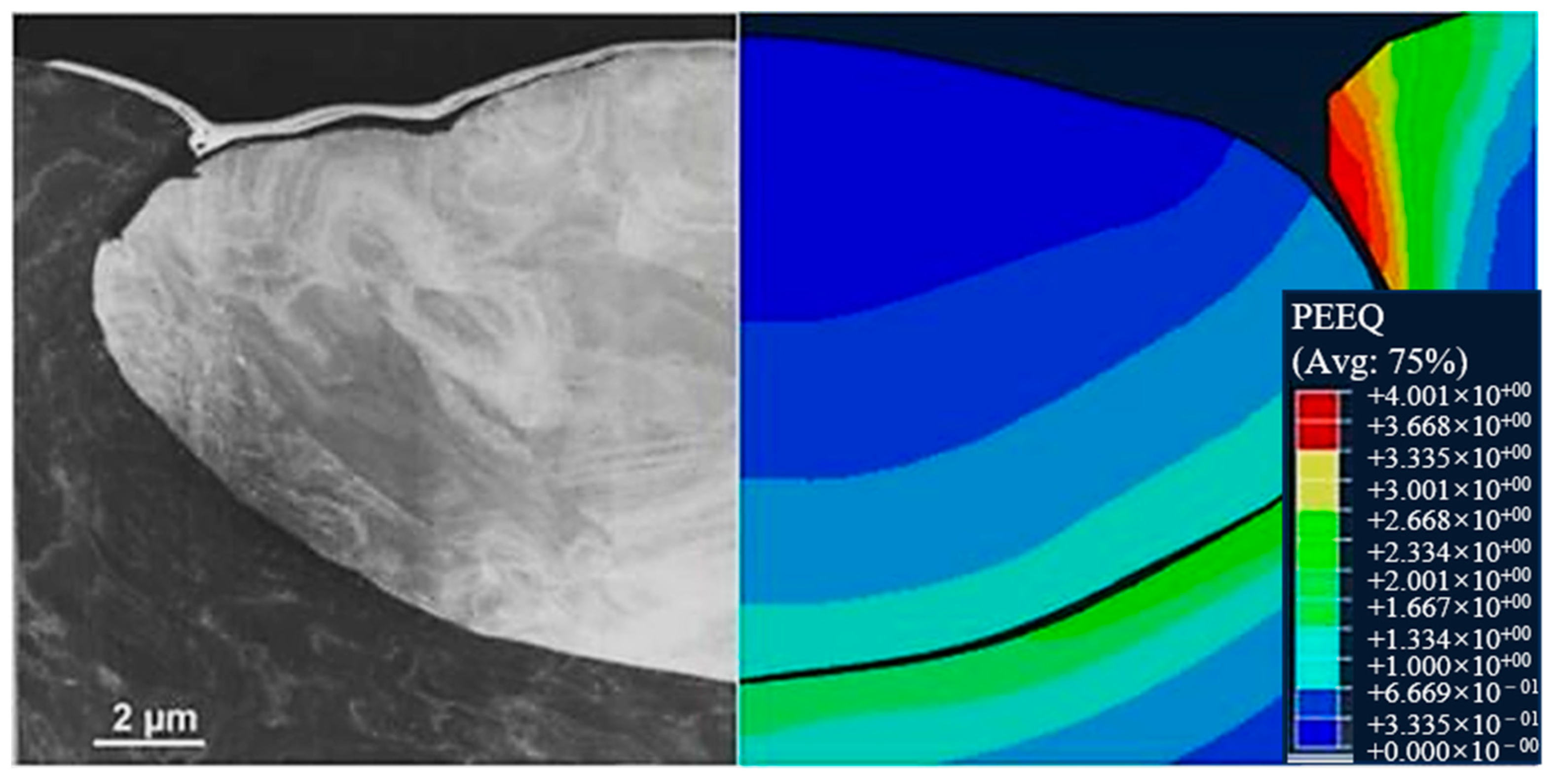 Coatings 14 00913 g009
