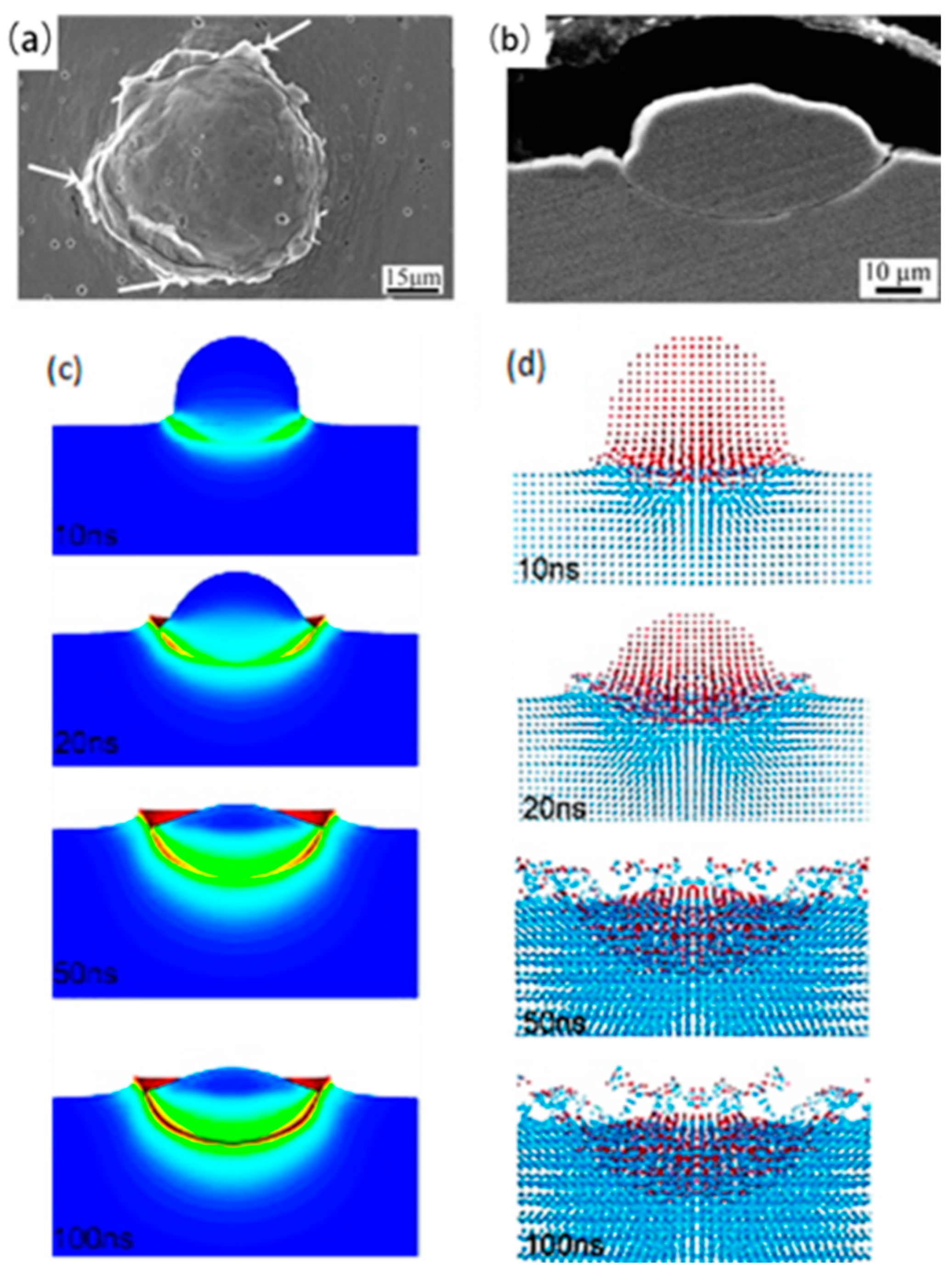 Coatings 14 00913 g010