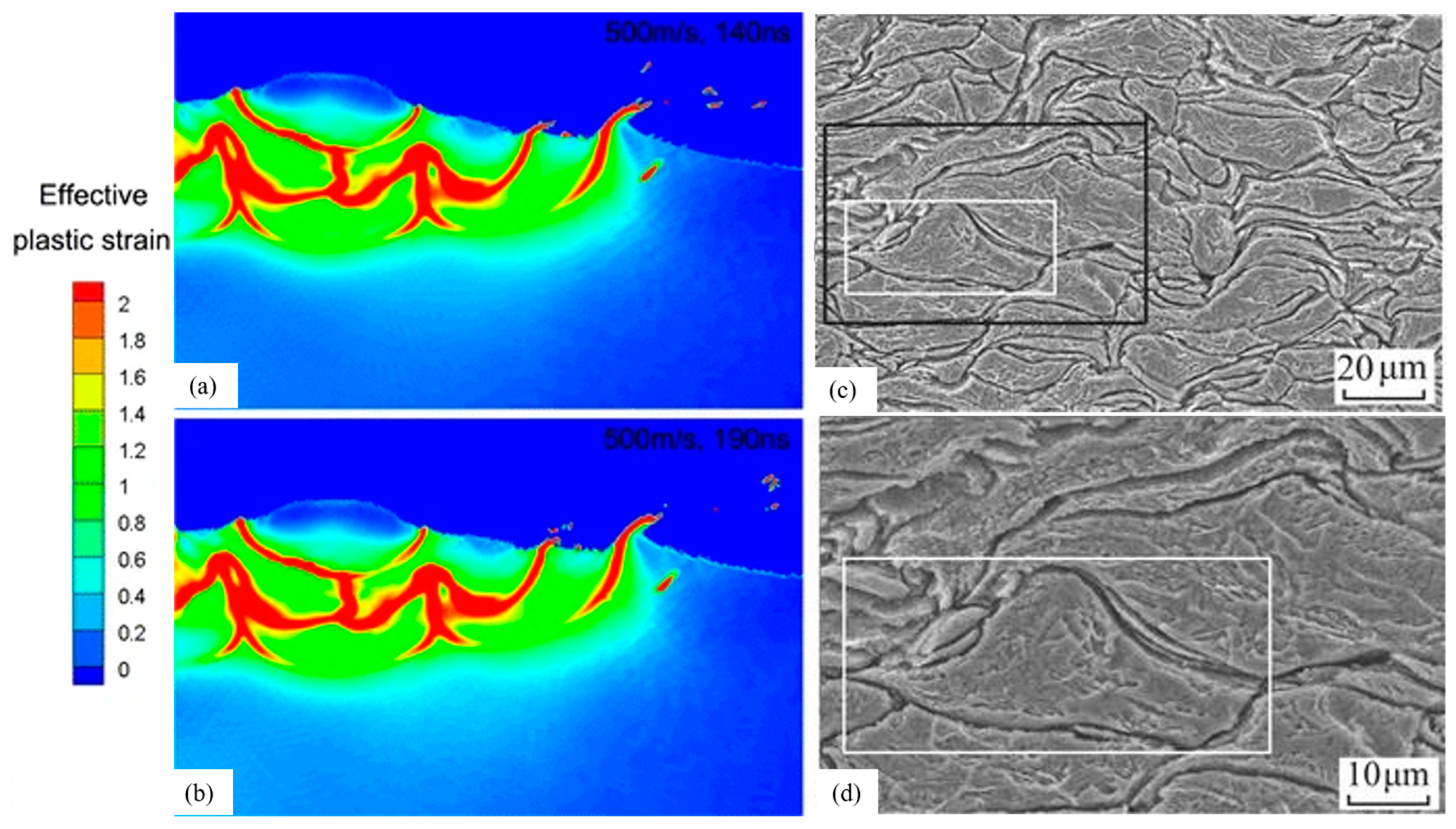 Coatings 14 00913 g015