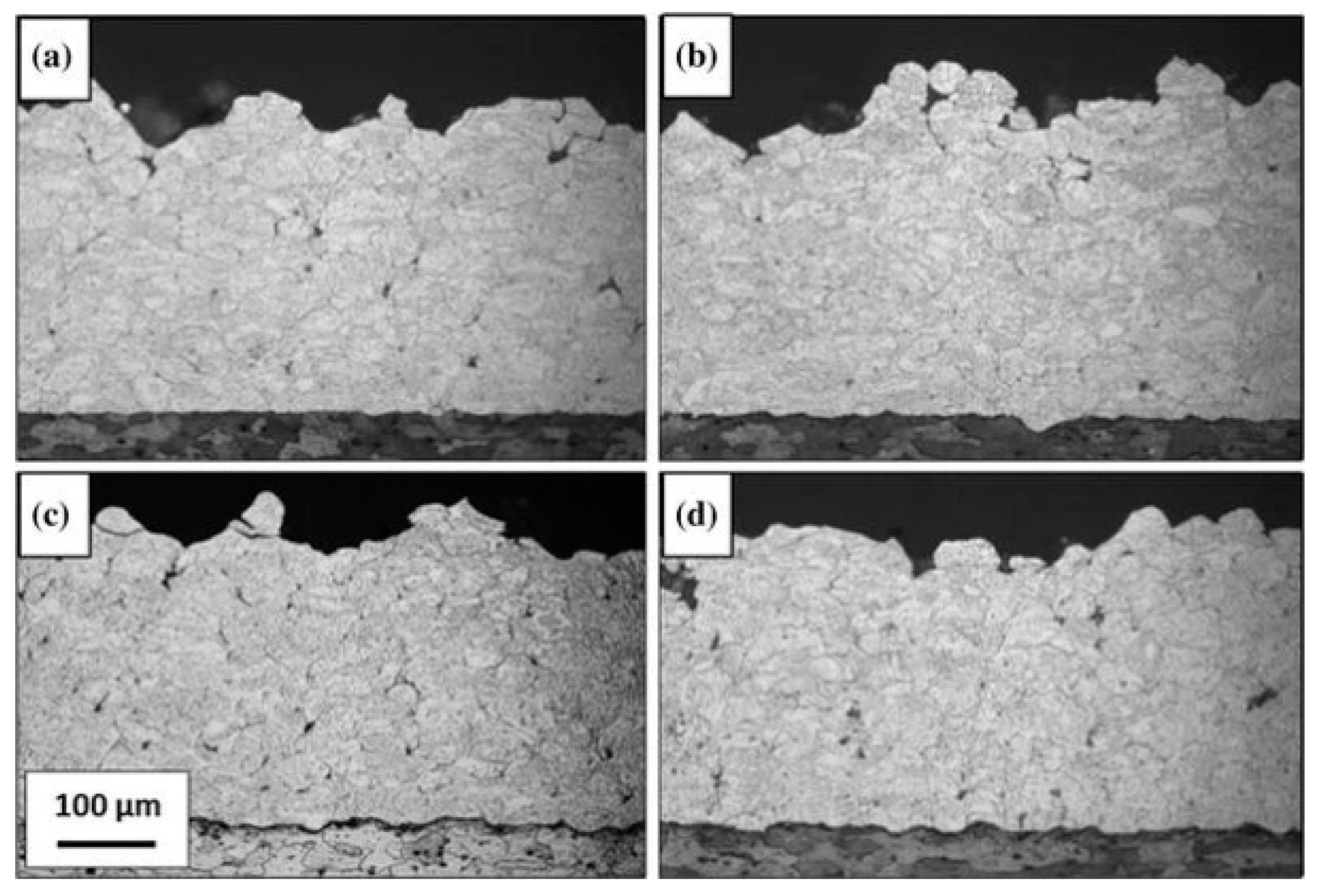 Coatings 14 00913 g020