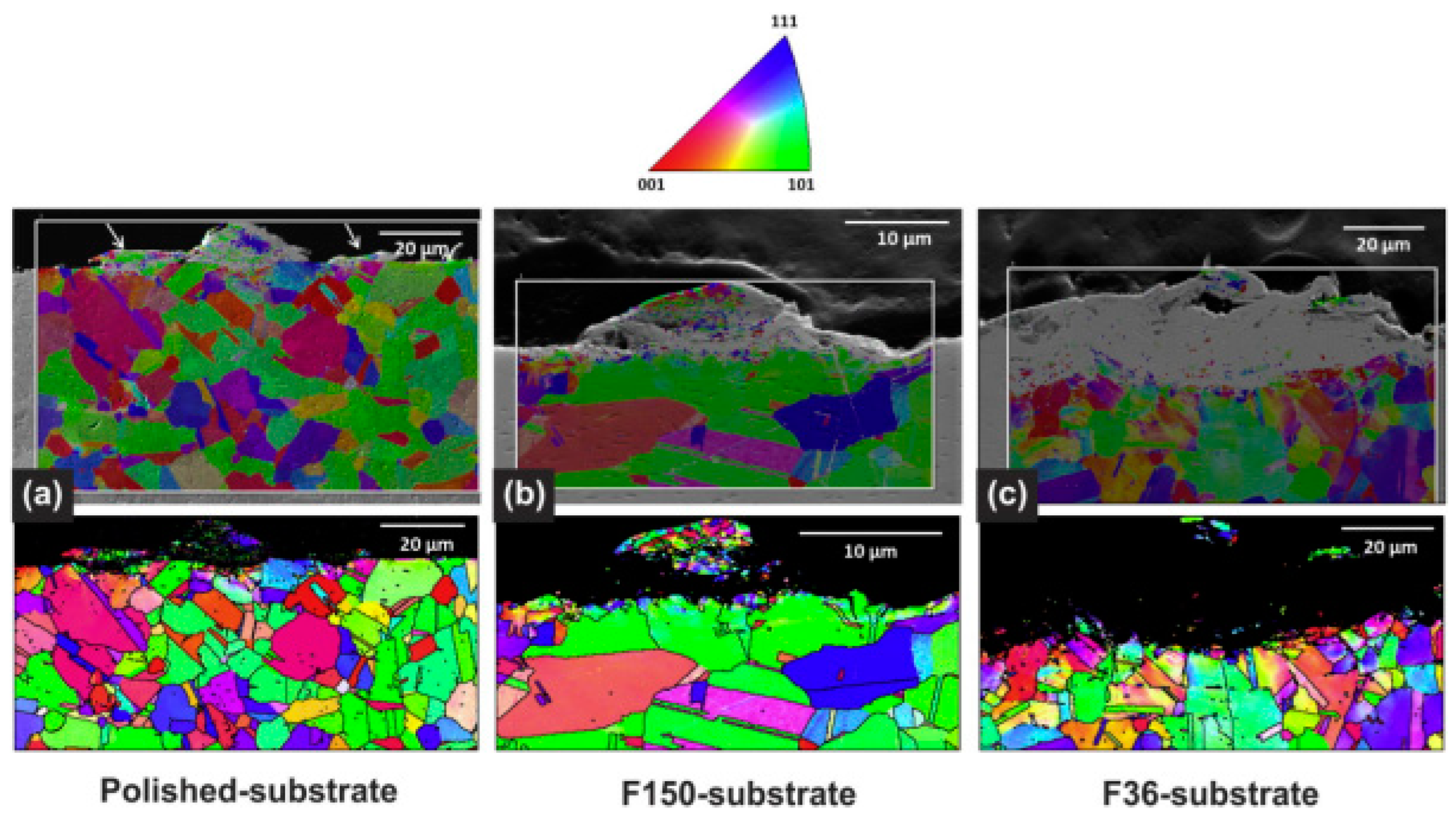 Coatings 14 00913 g023