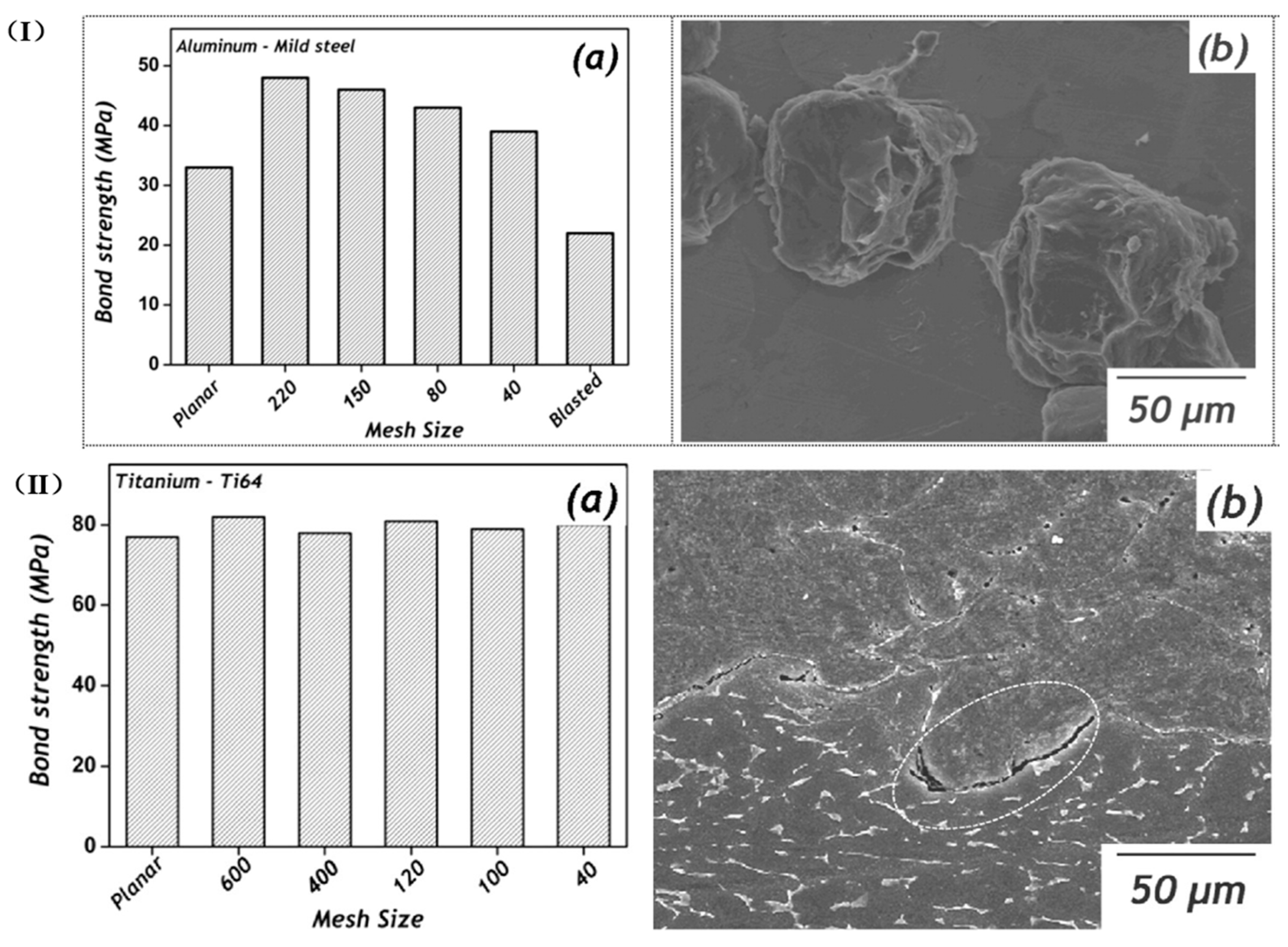 Coatings 14 00913 g024