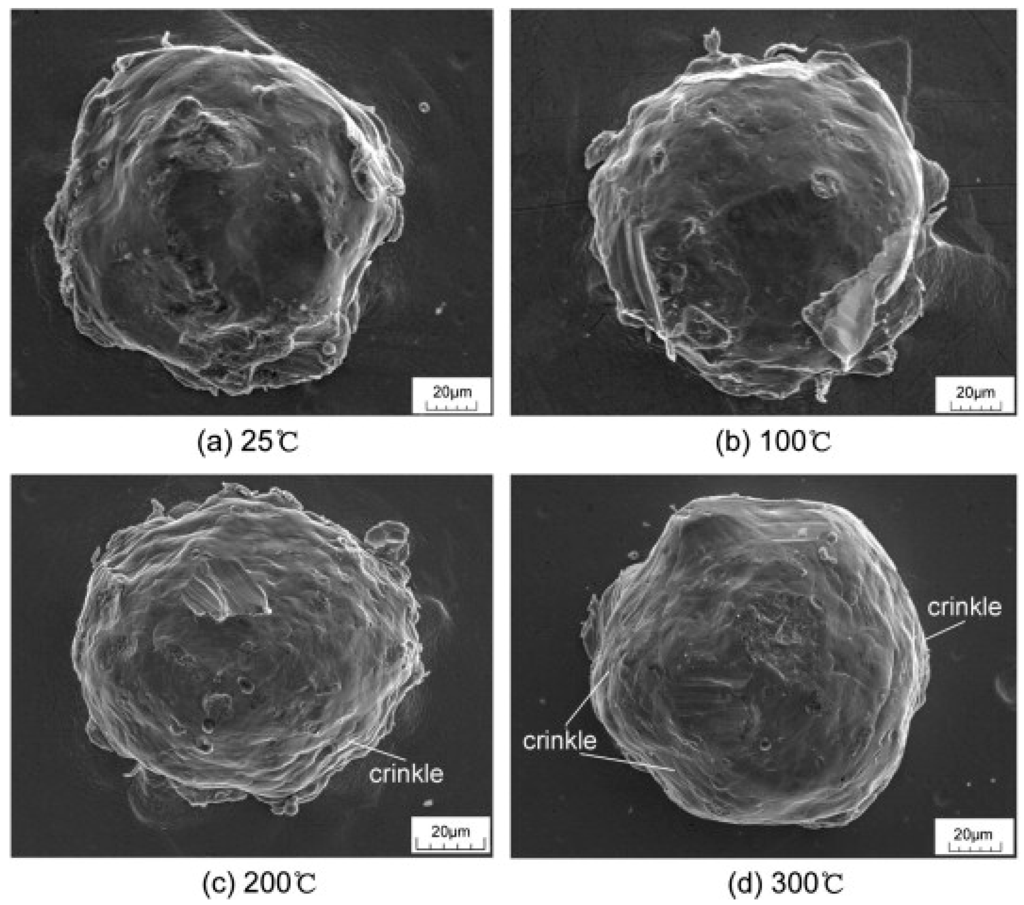Coatings 14 00913 g026