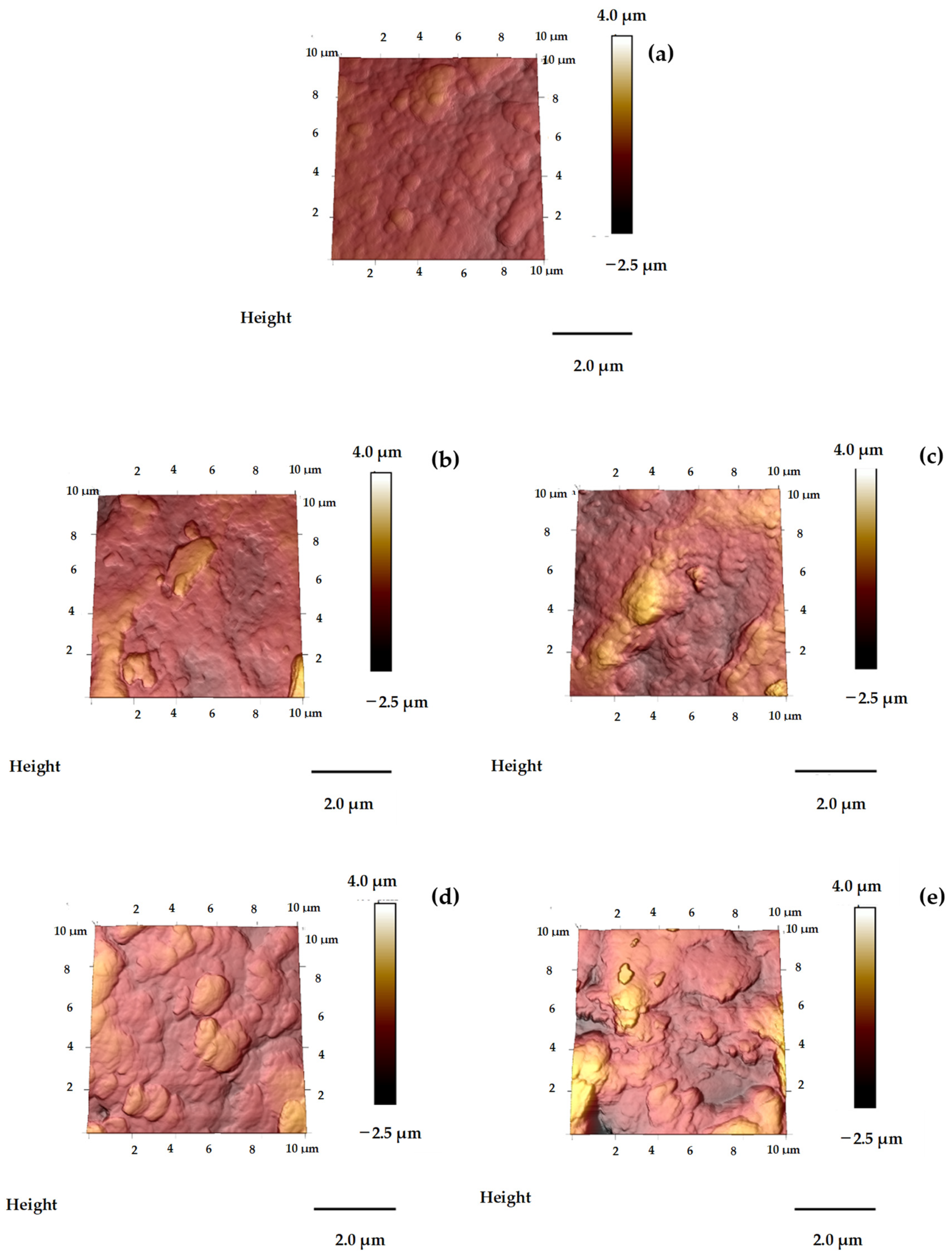 Coatings 14 00915 g009