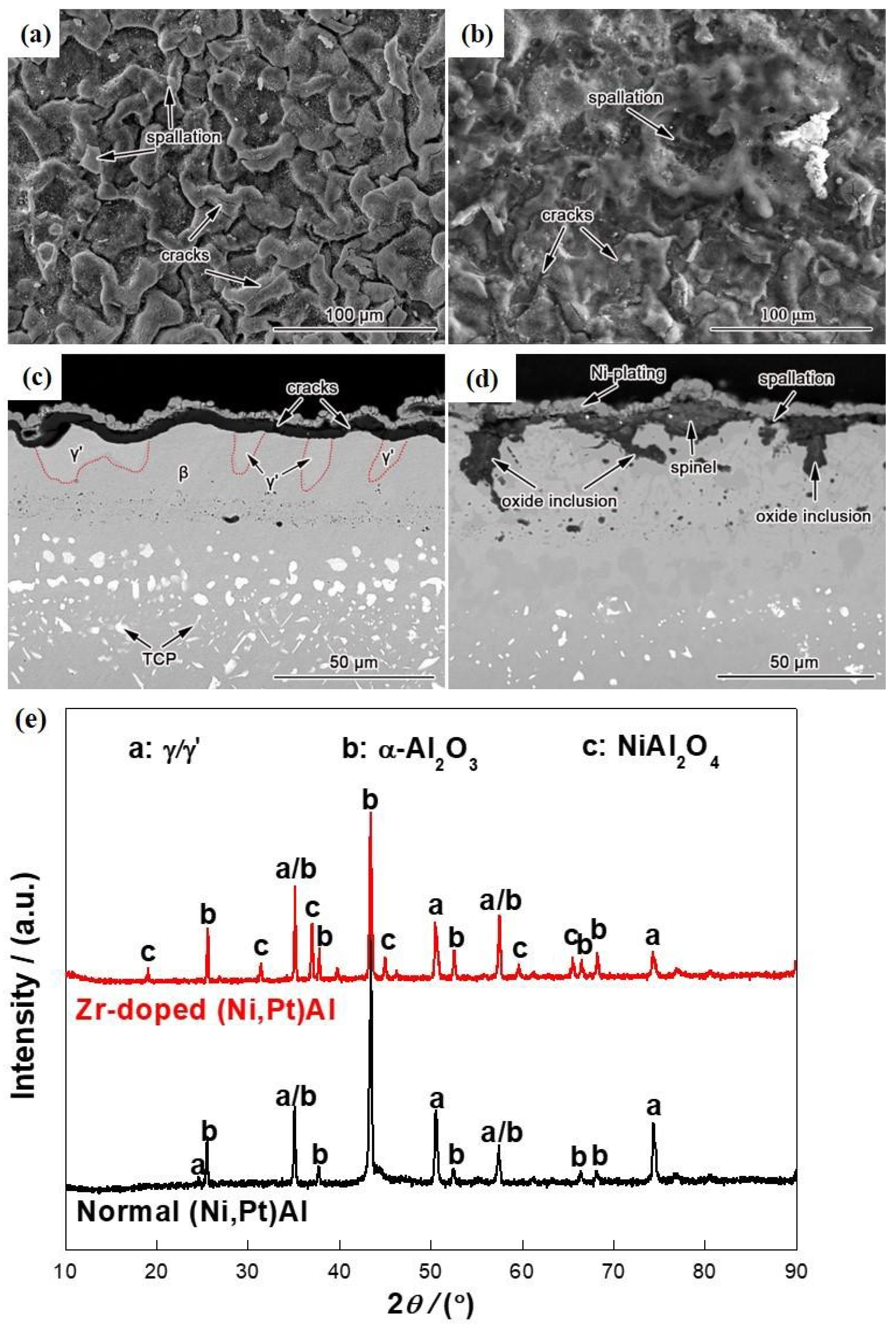Coatings 14 00927 g004