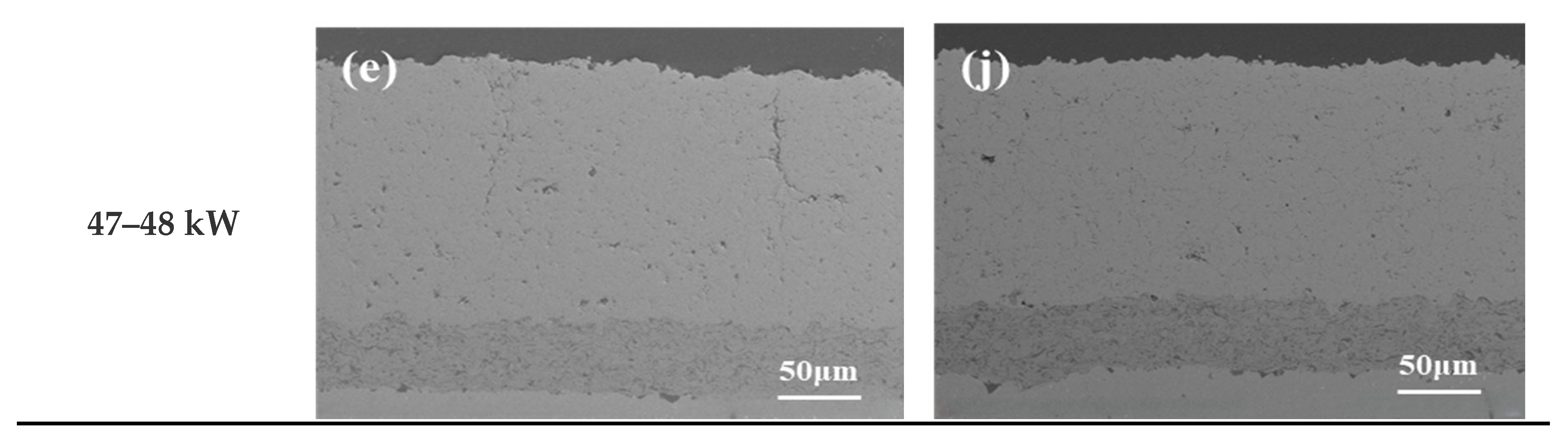 Coatings 14 00928 g001b
