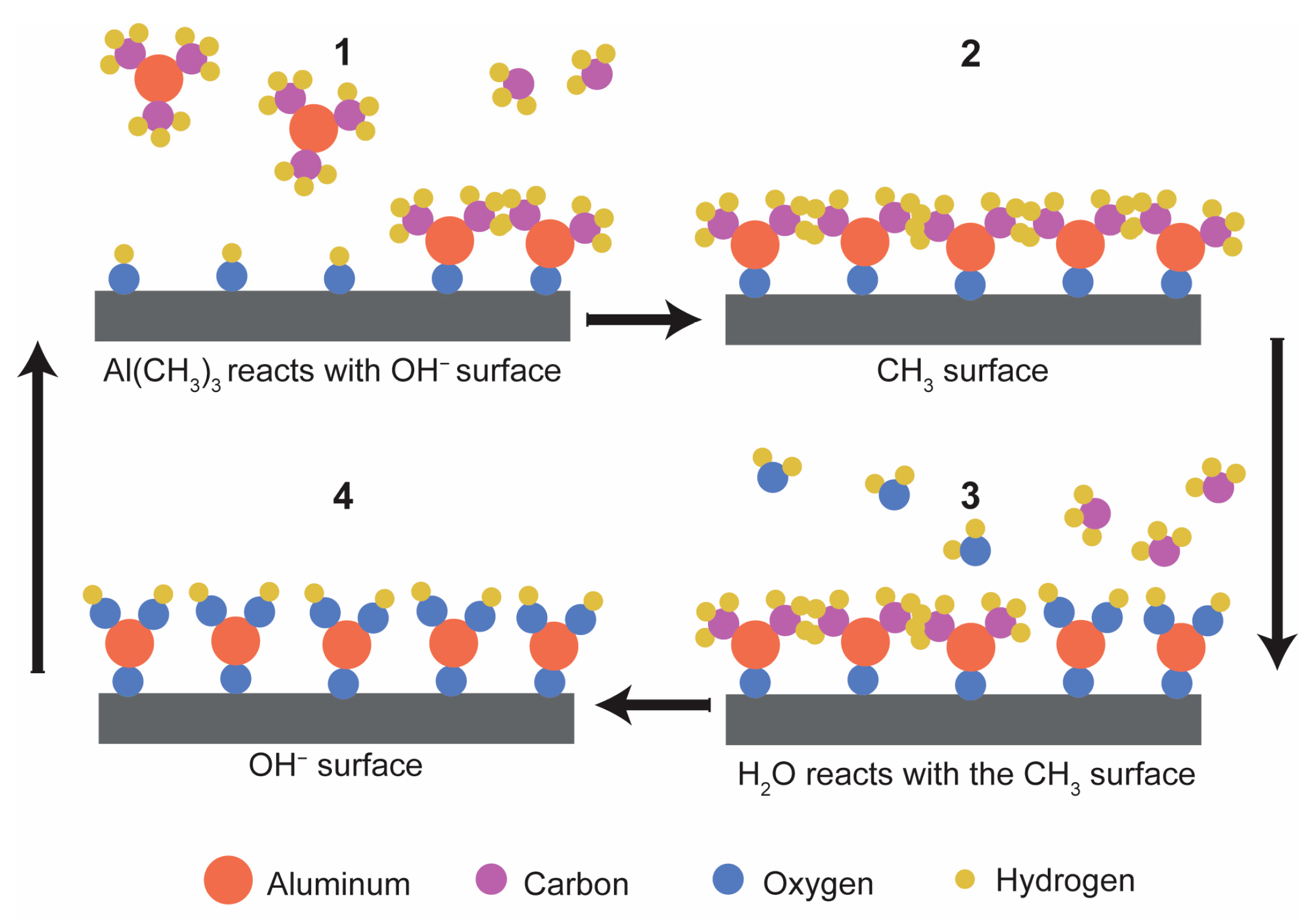 Coatings 14 00931 g001