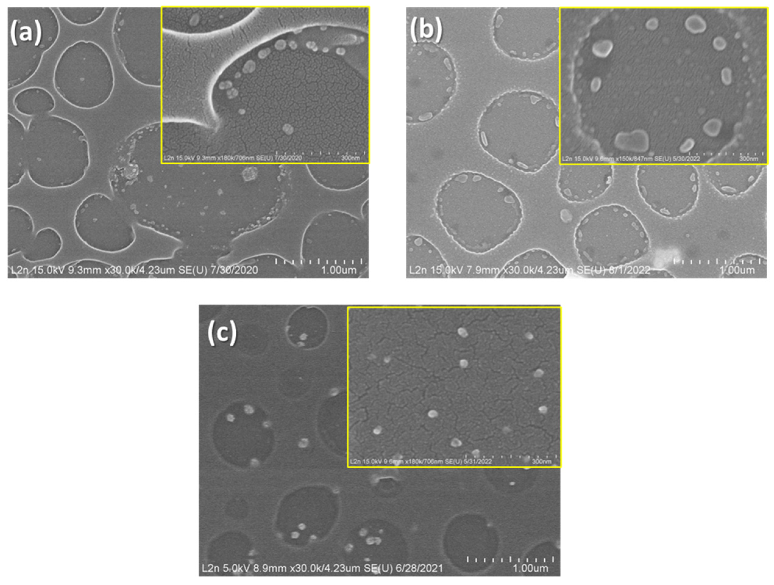 Coatings 14 00934 g005