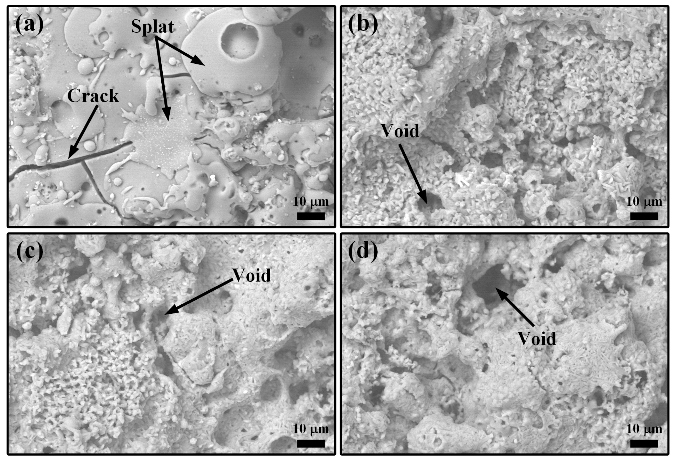 Coatings 14 00938 g005