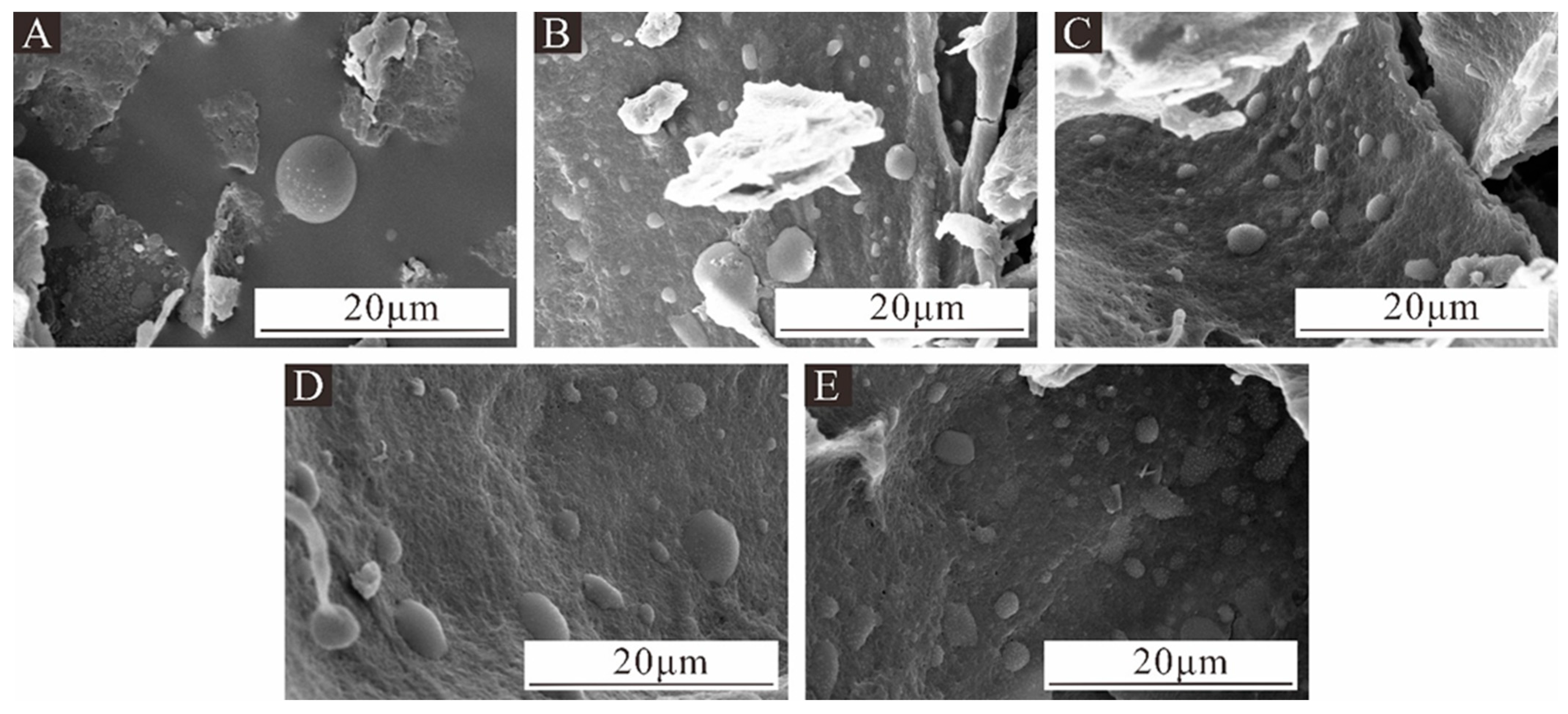 Coatings 14 00942 g001