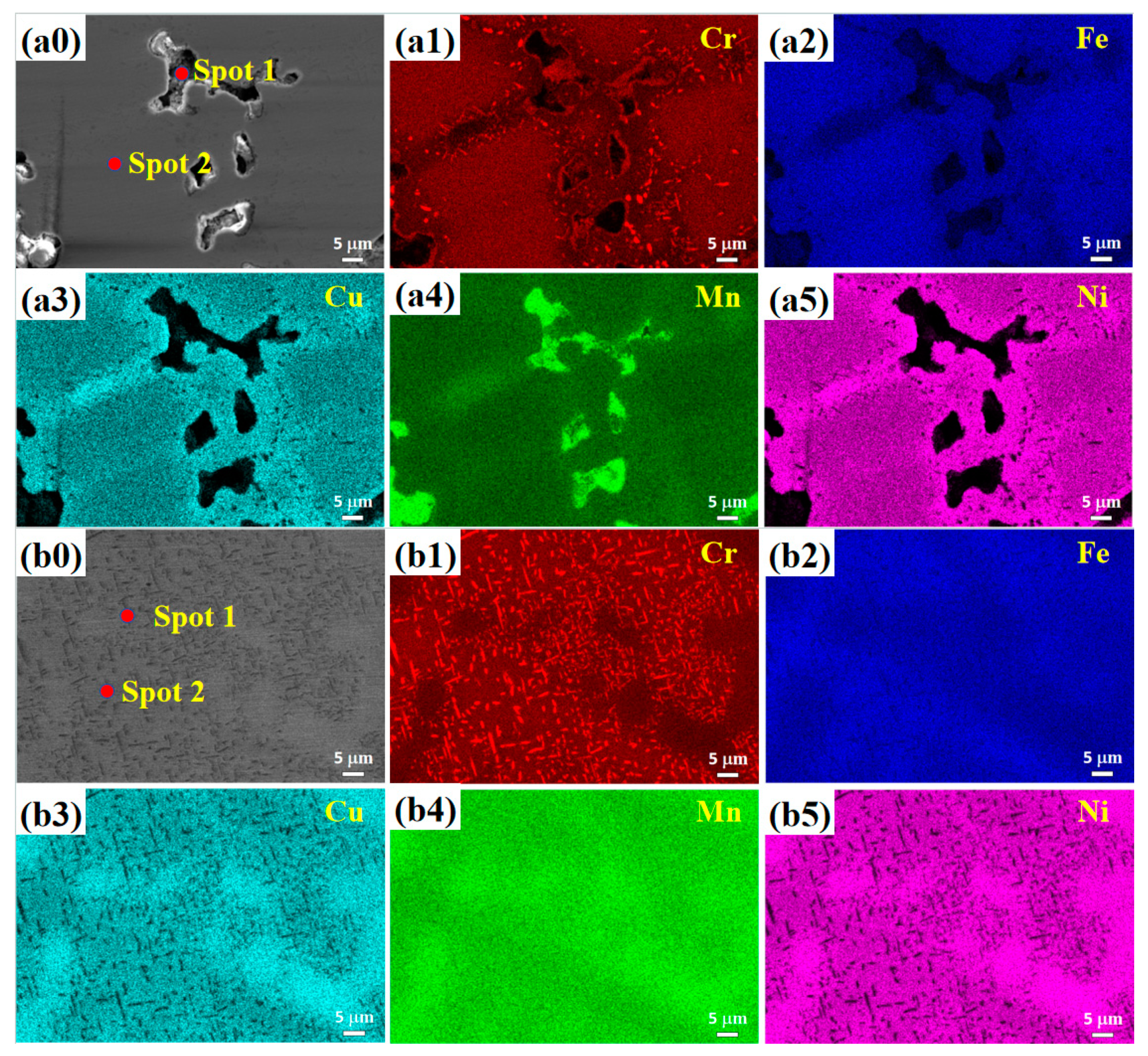 Coatings 14 00950 g002a