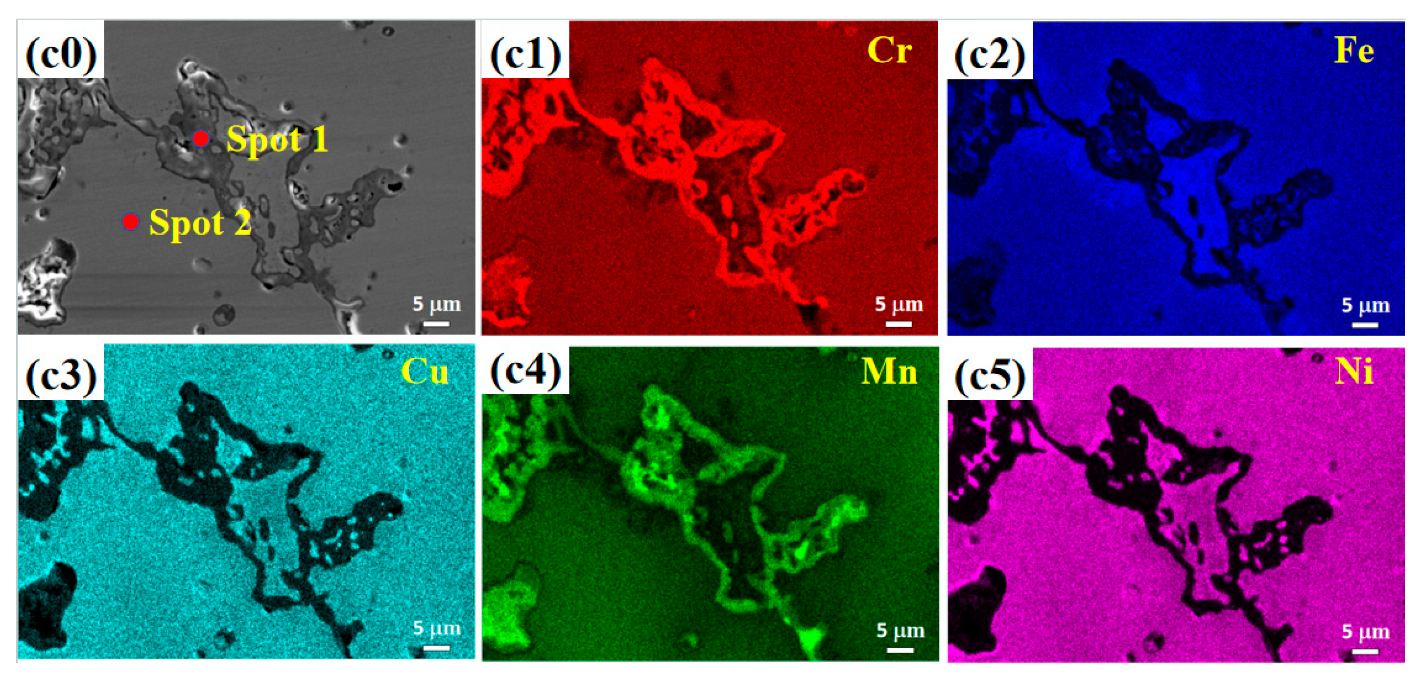 Coatings 14 00950 g002b