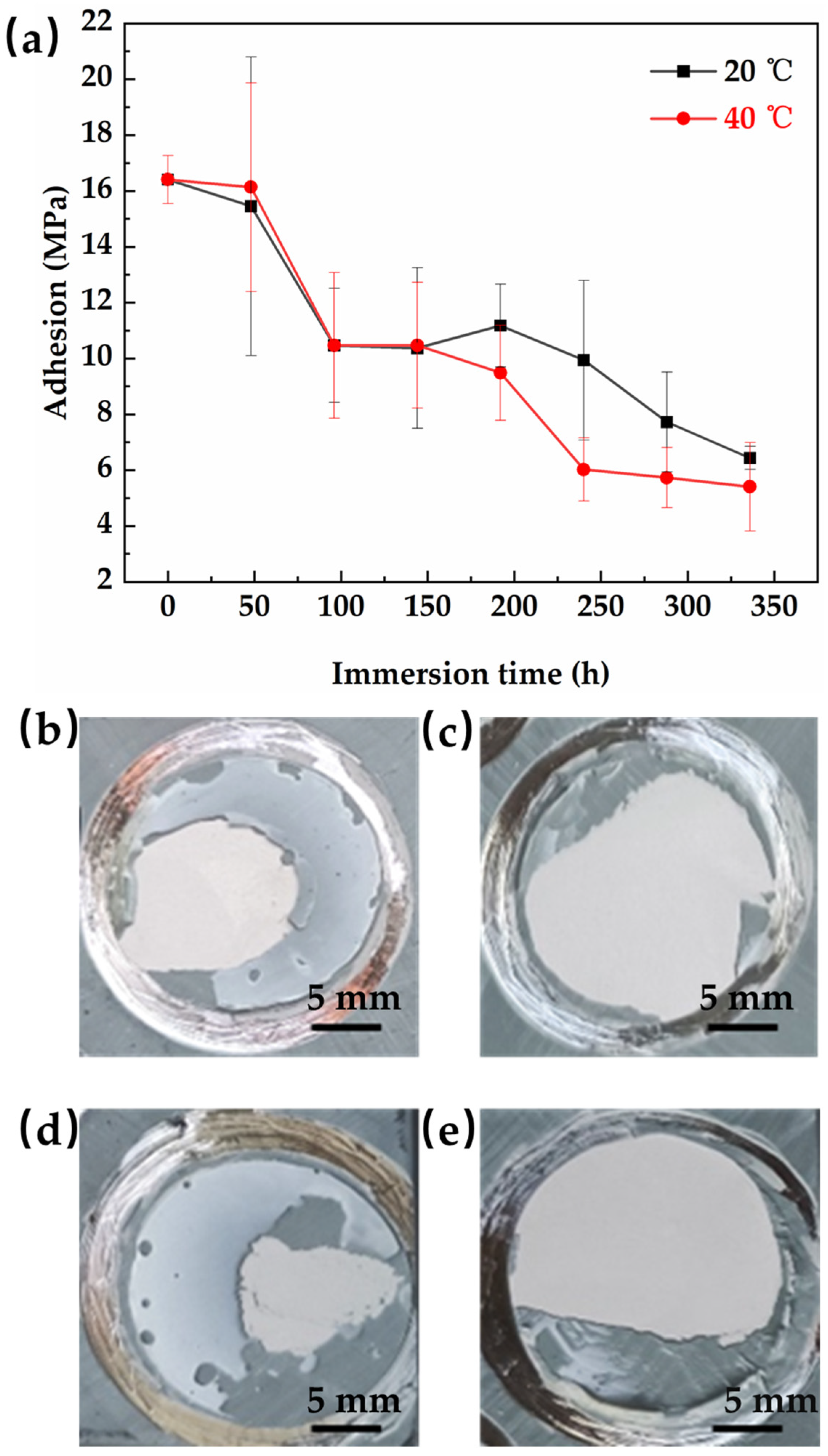 Coatings 14 00952 g004