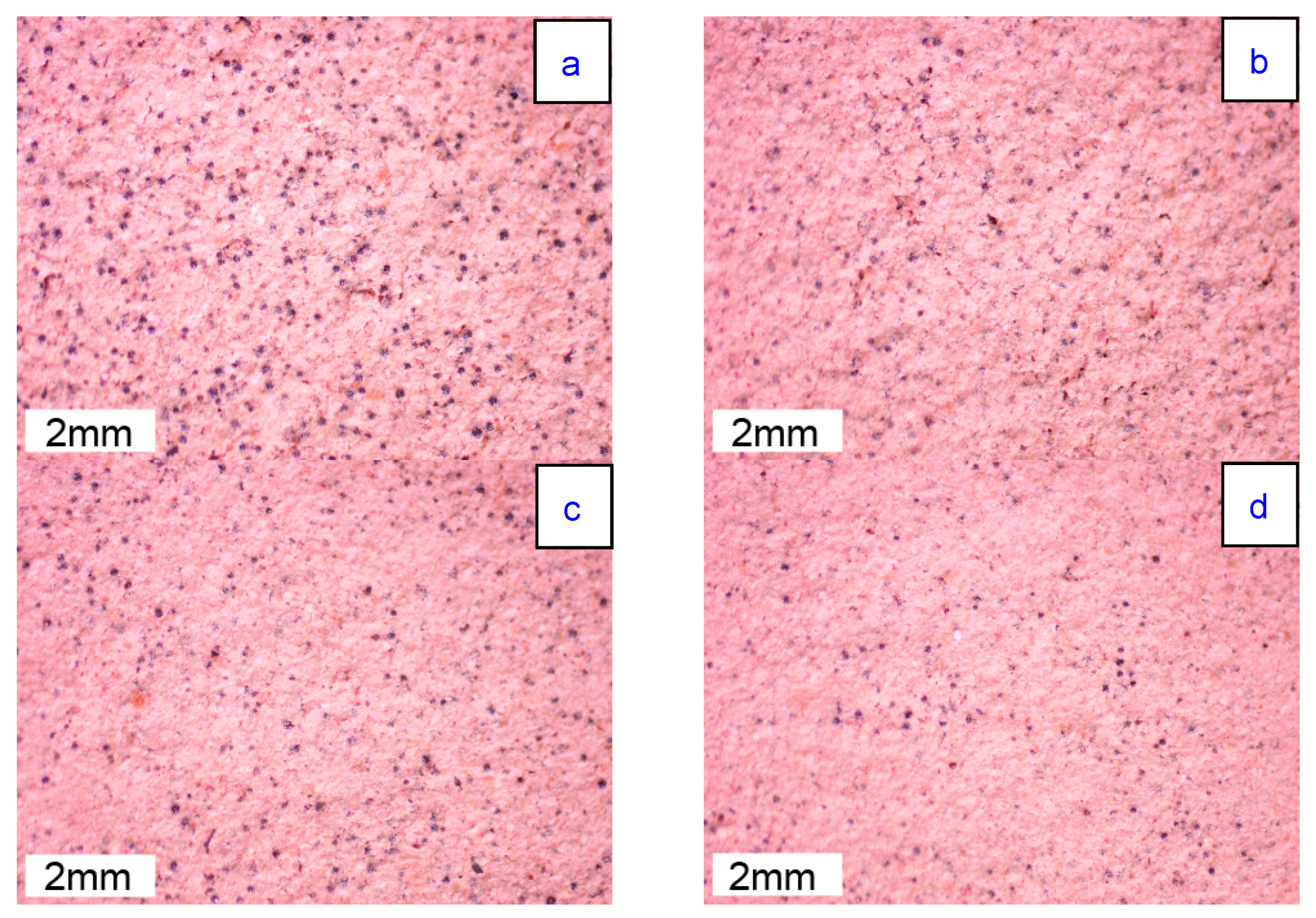 Coatings 14 00954 g009
