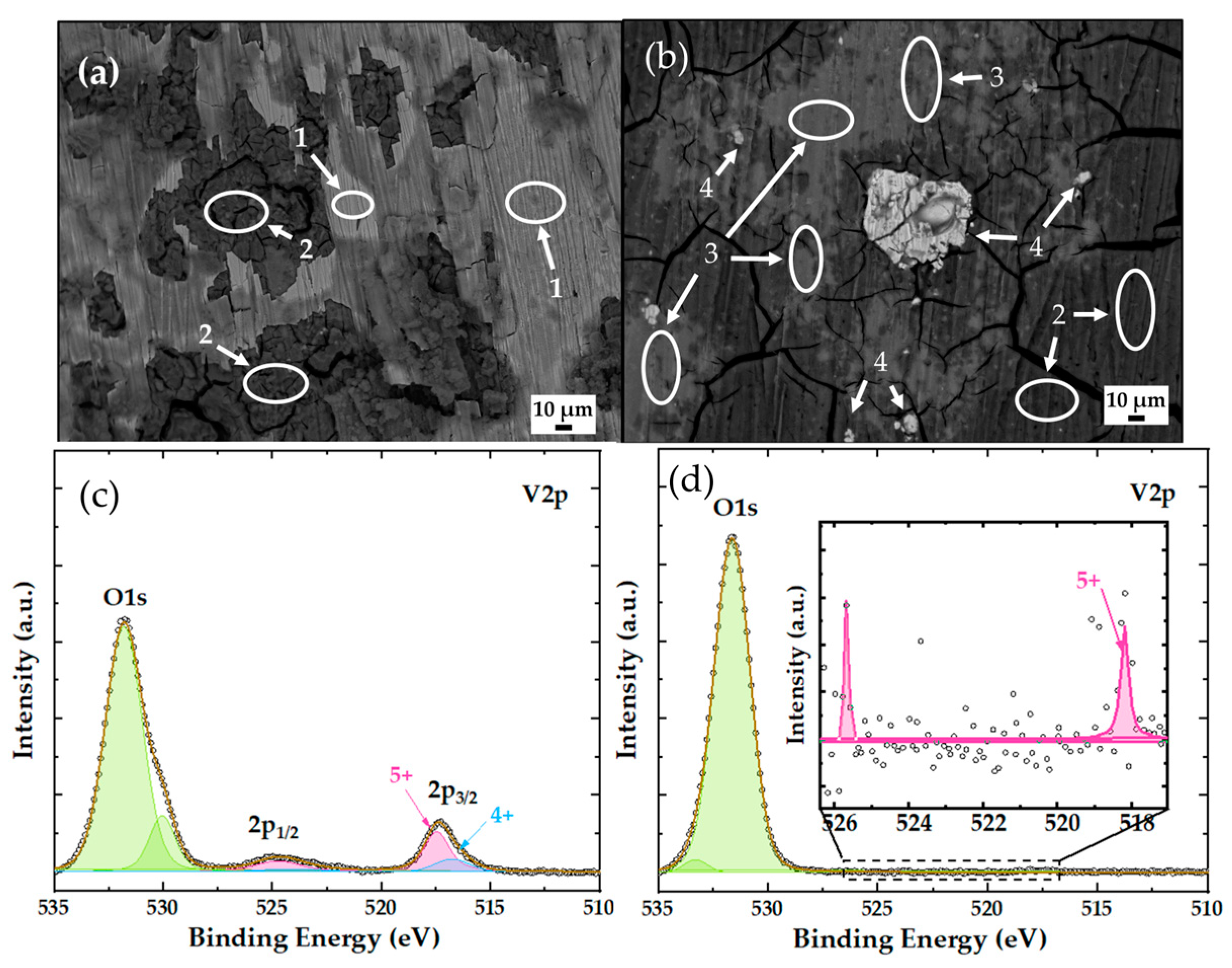 Coatings 14 00955 g007