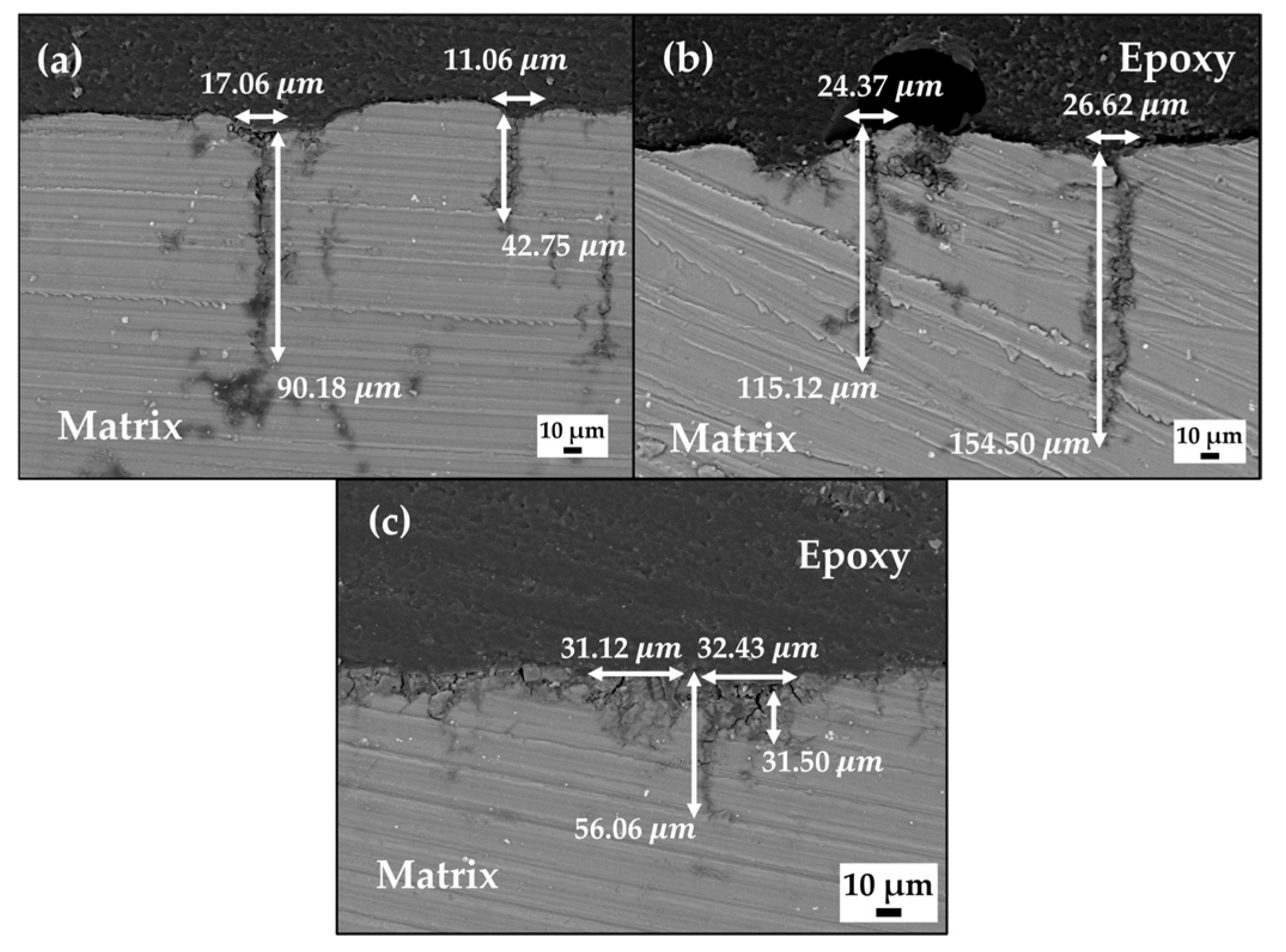 Coatings 14 00955 g008