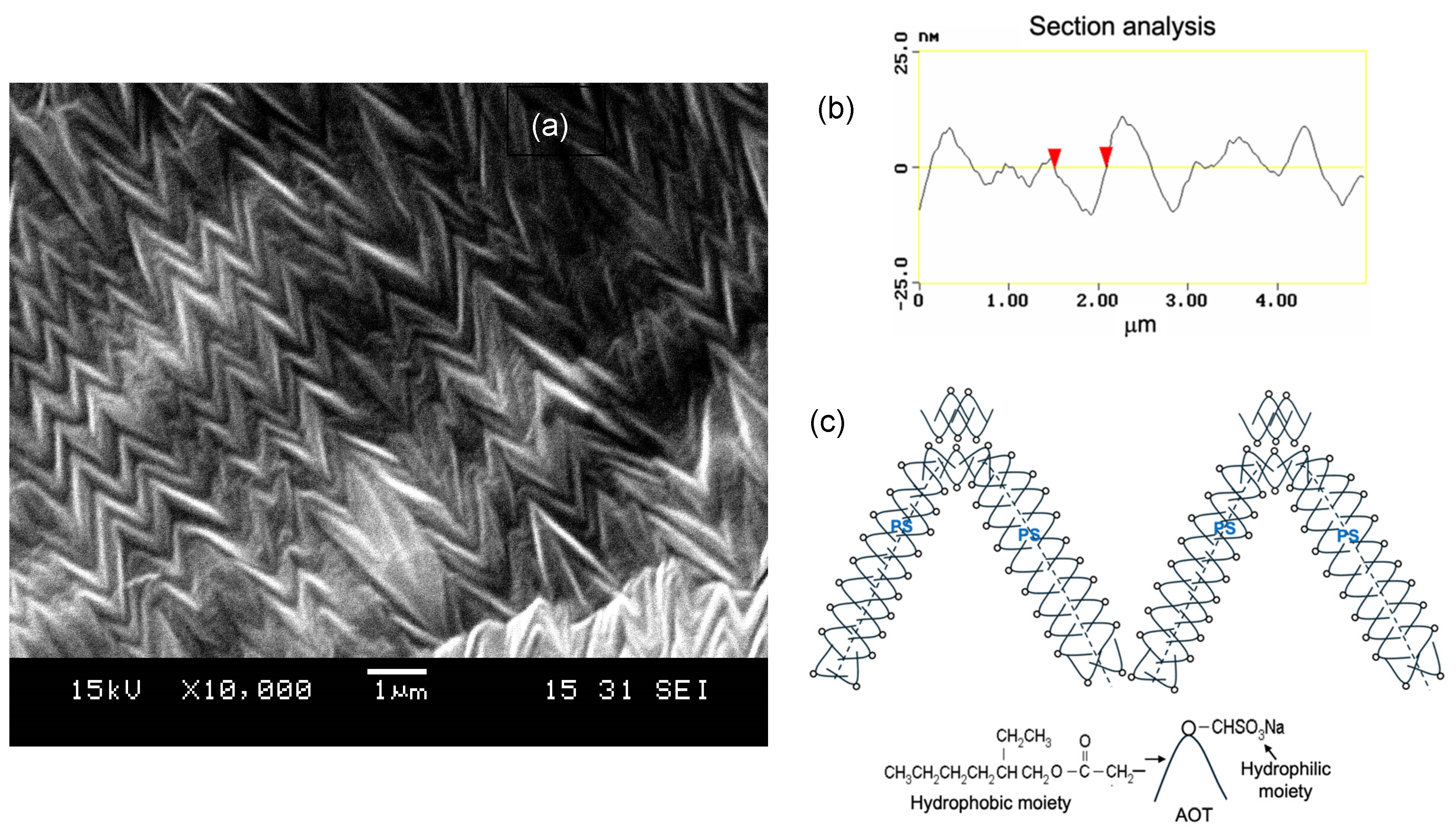Coatings 14 00956 g005