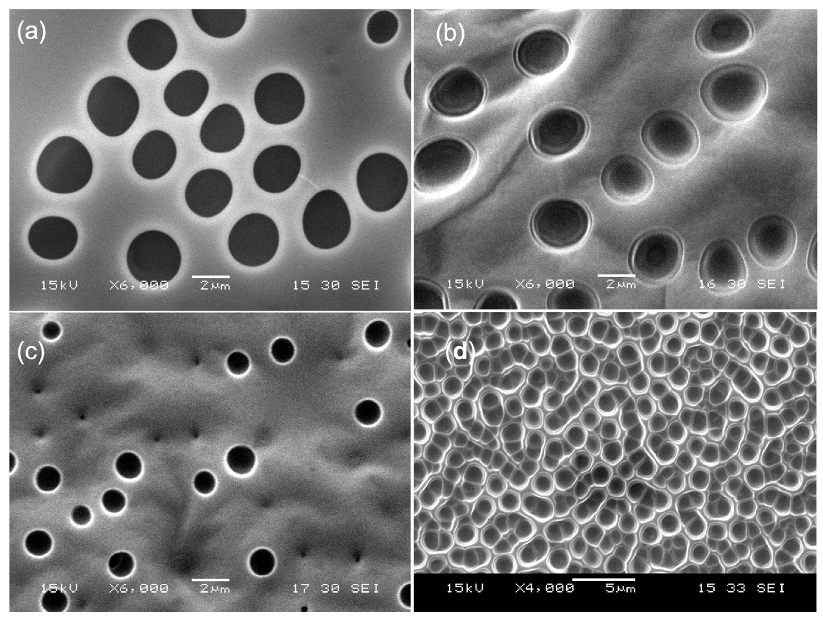 Coatings 14 00956 g007