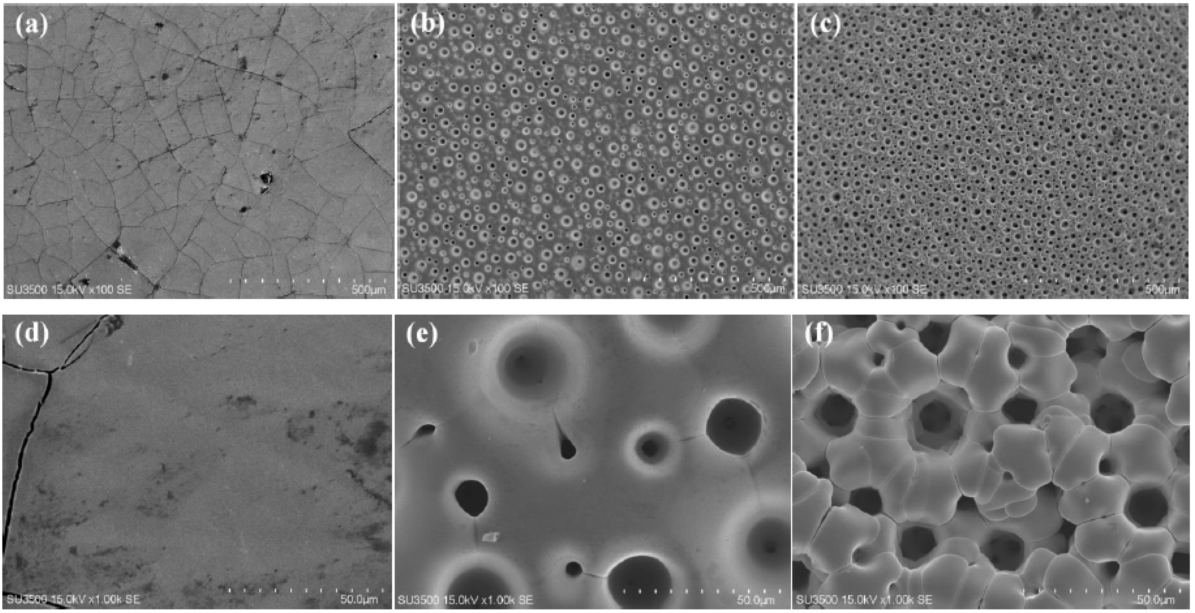 Coatings 14 00957 g001