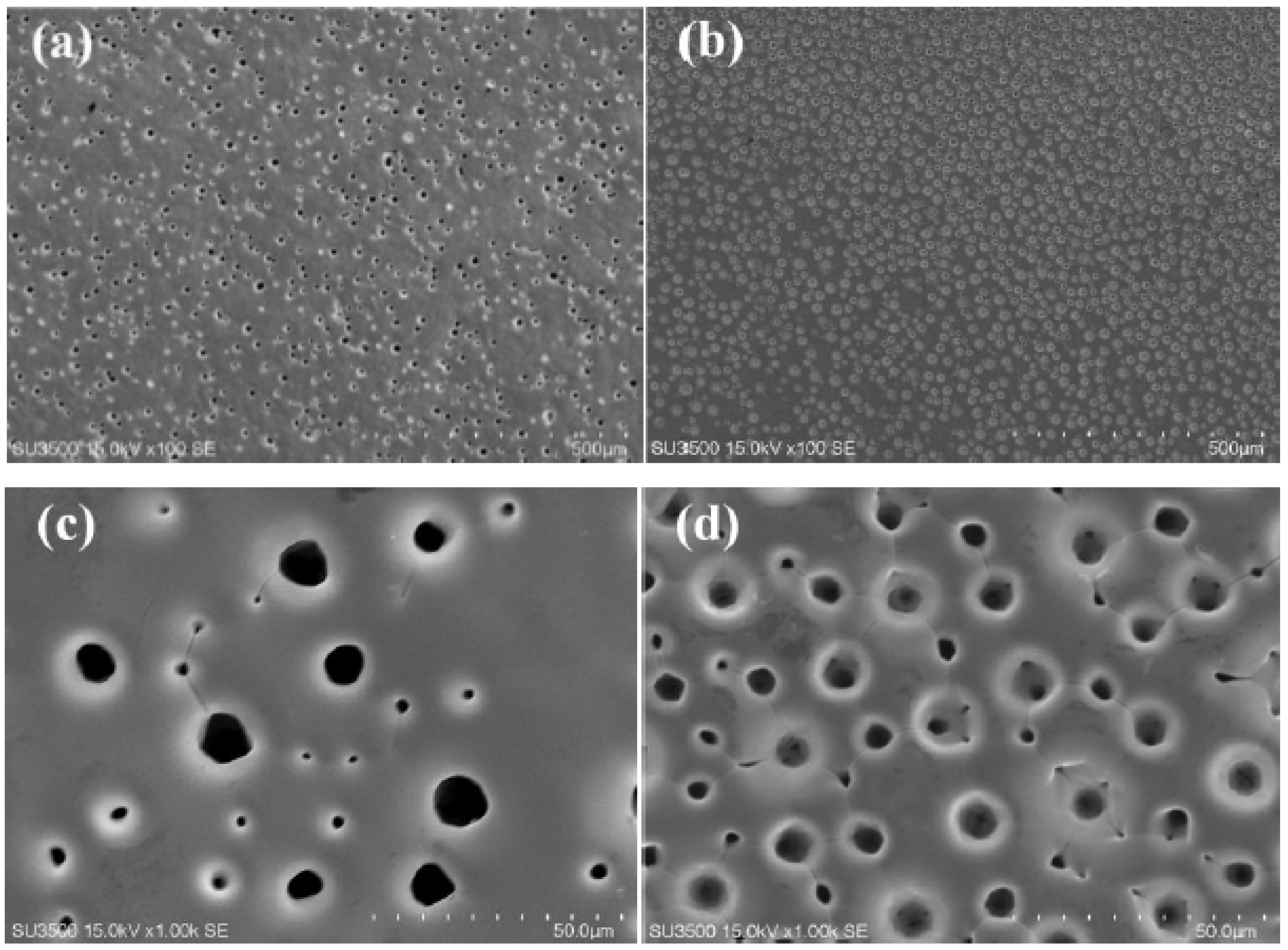 Coatings 14 00957 g003