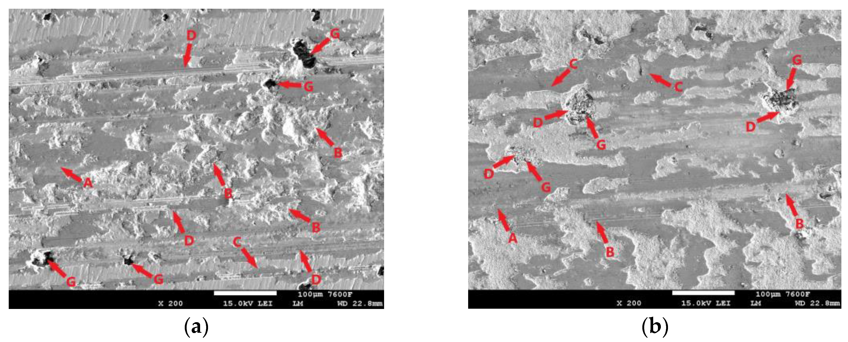 Coatings 14 00958 g018