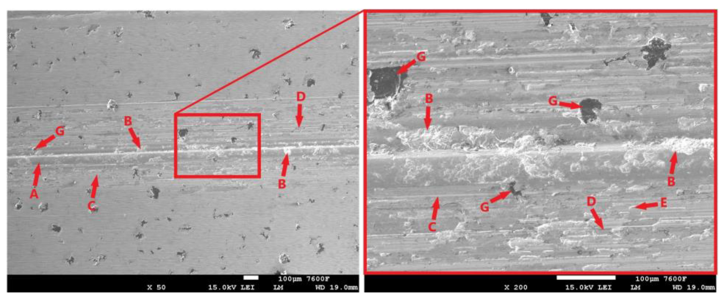 Coatings 14 00958 g025