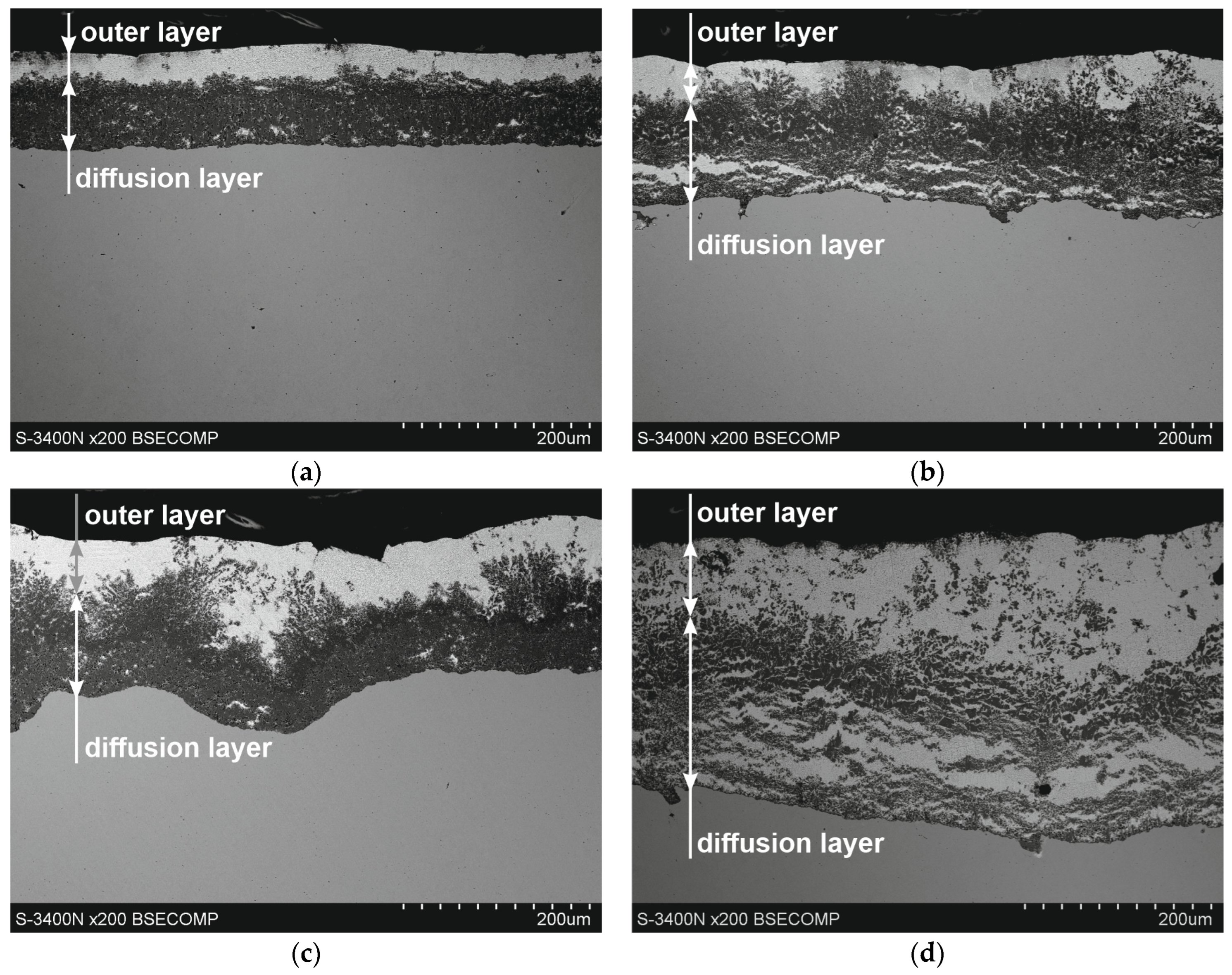 Coatings 14 00959 g002