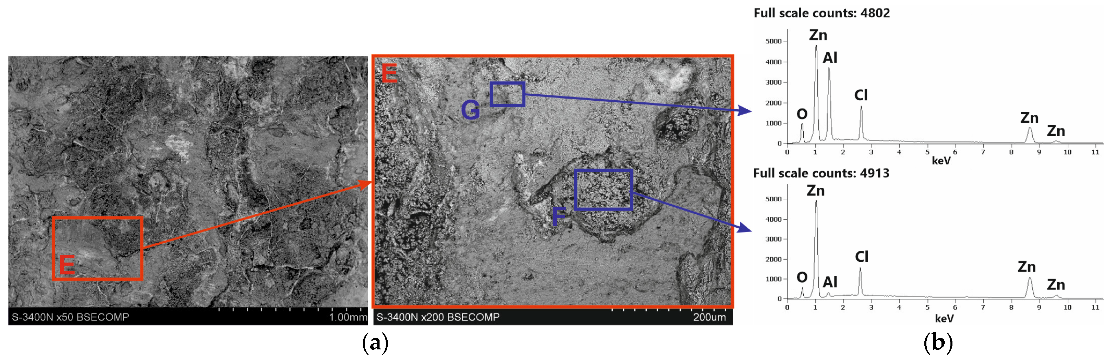 Coatings 14 00959 g011