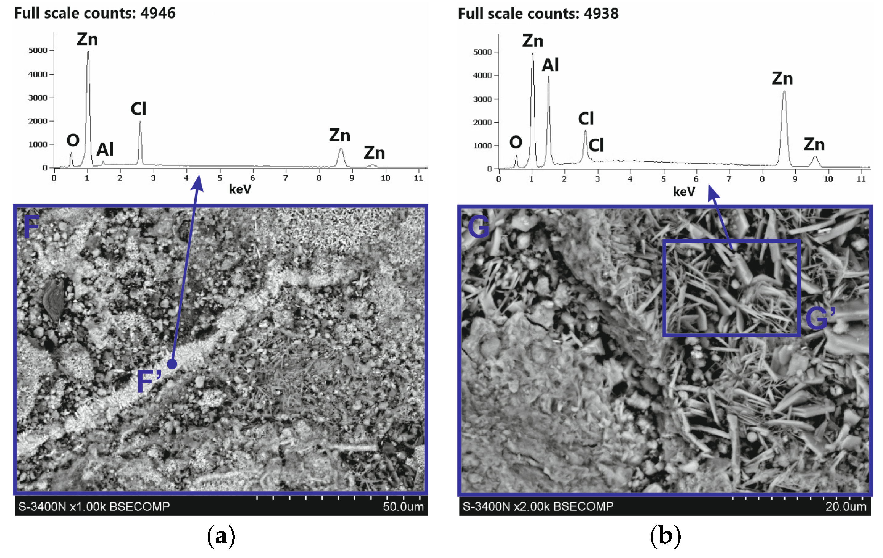 Coatings 14 00959 g012