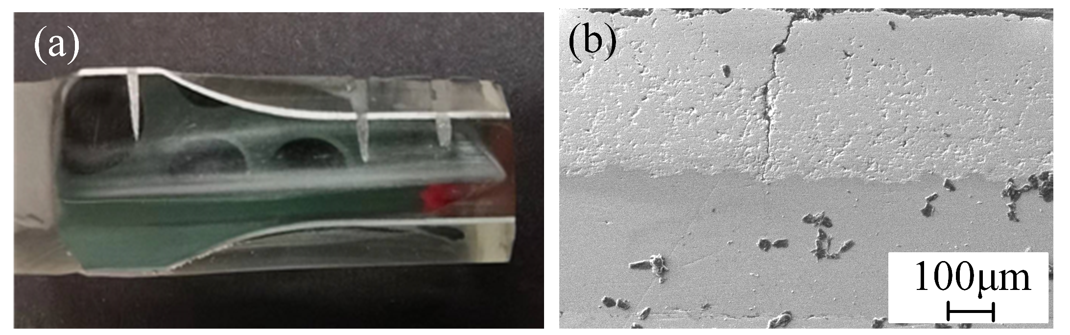 Coatings 14 00960 g009