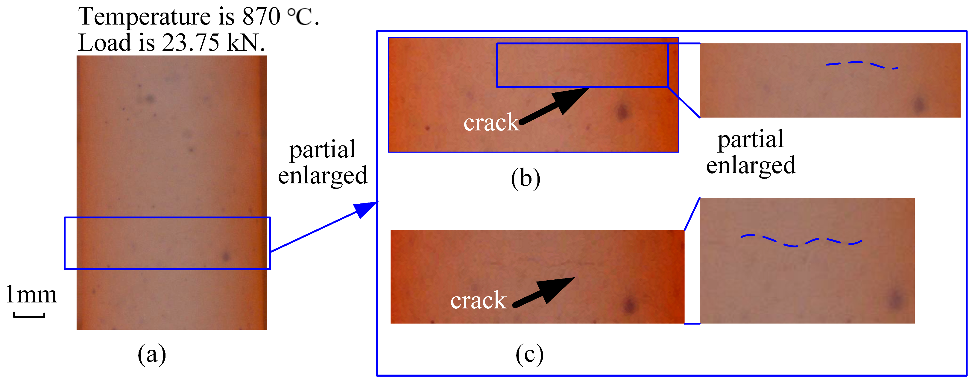 Coatings 14 00960 g011
