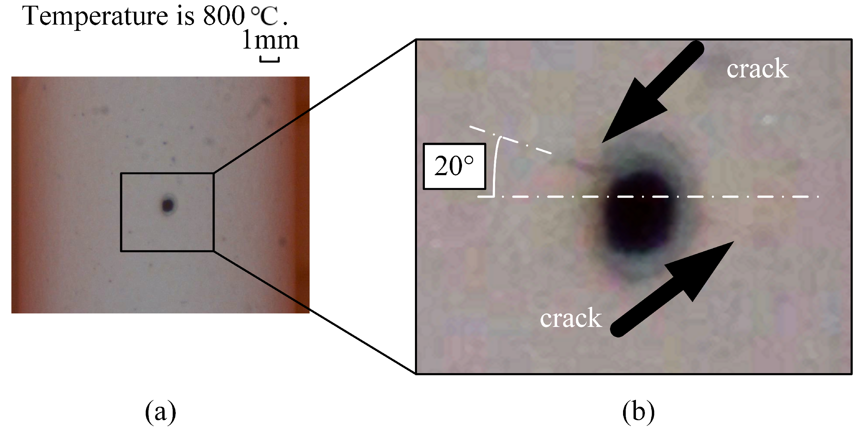 Coatings 14 00960 g017