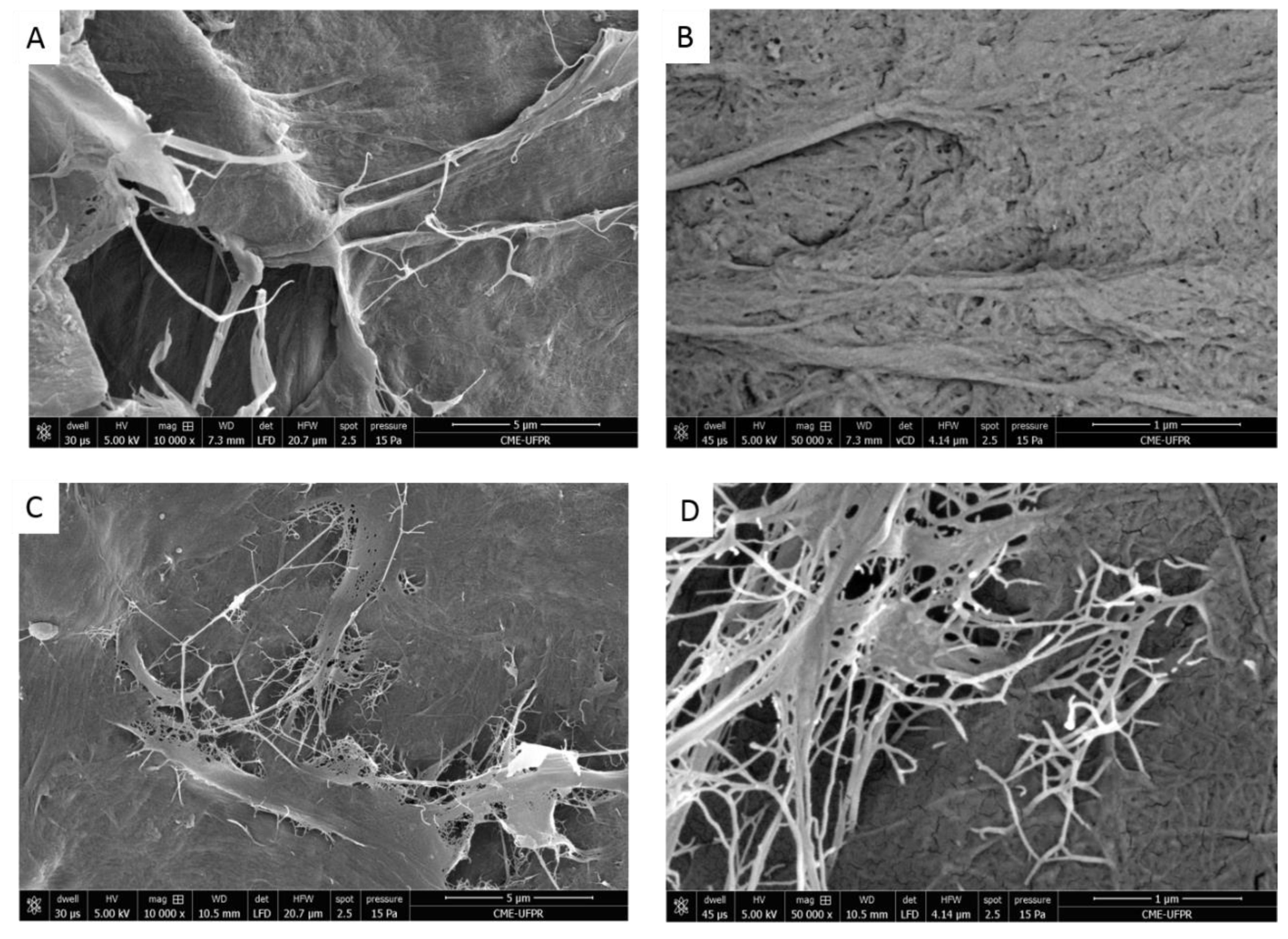 Coatings 14 00962 g003