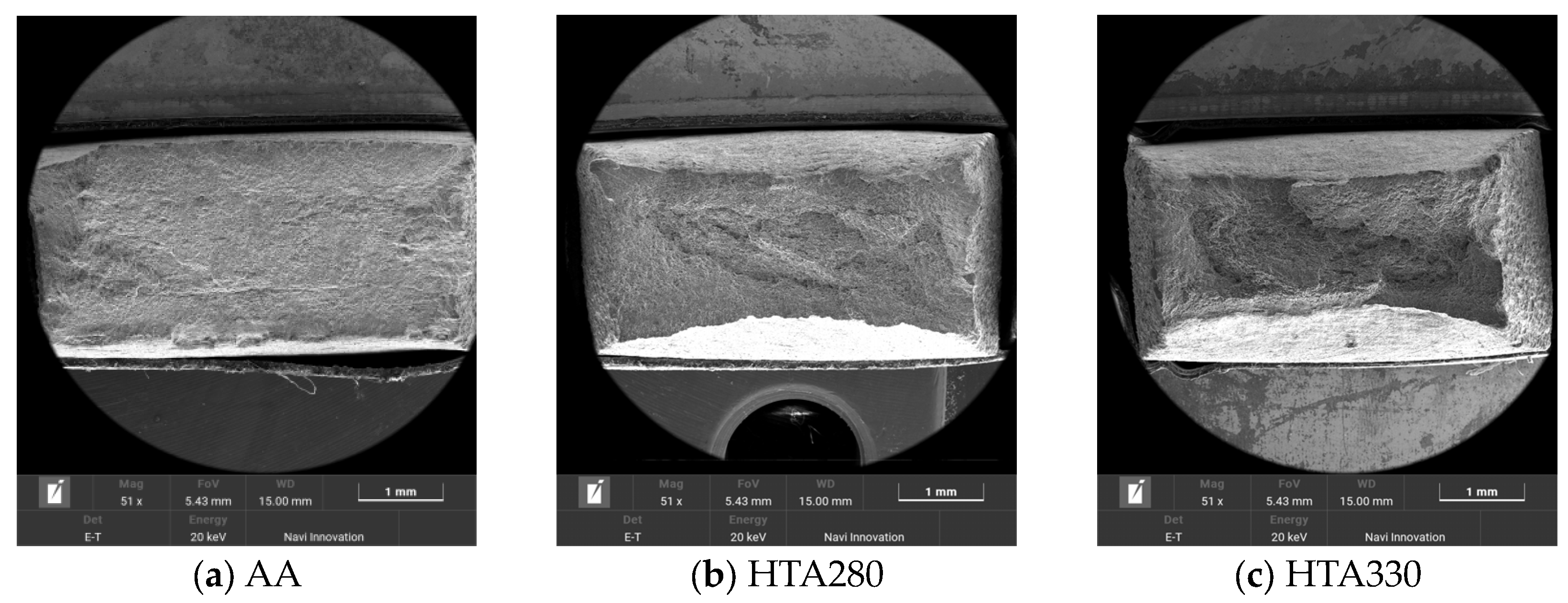 Coatings 14 00963 g006