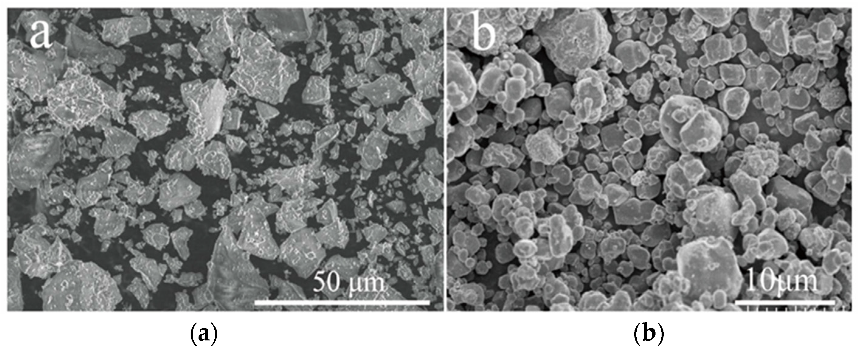 Coatings 14 00974 g001