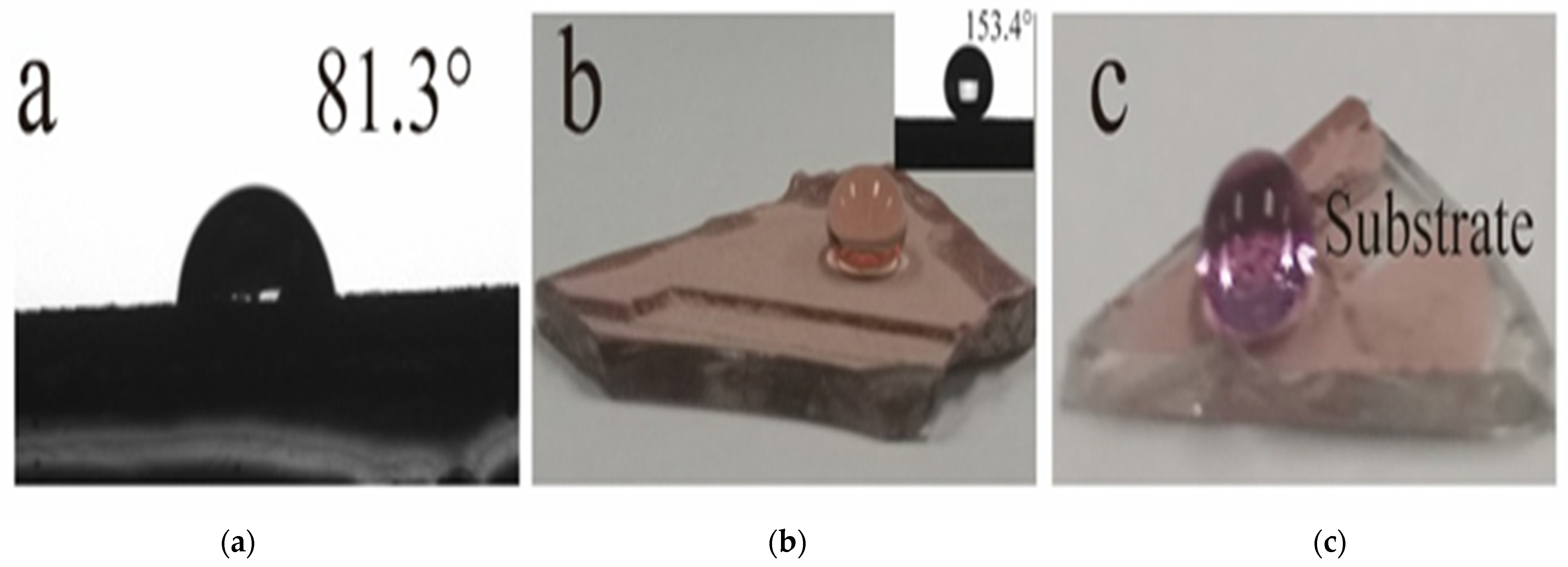 Coatings 14 00974 g005