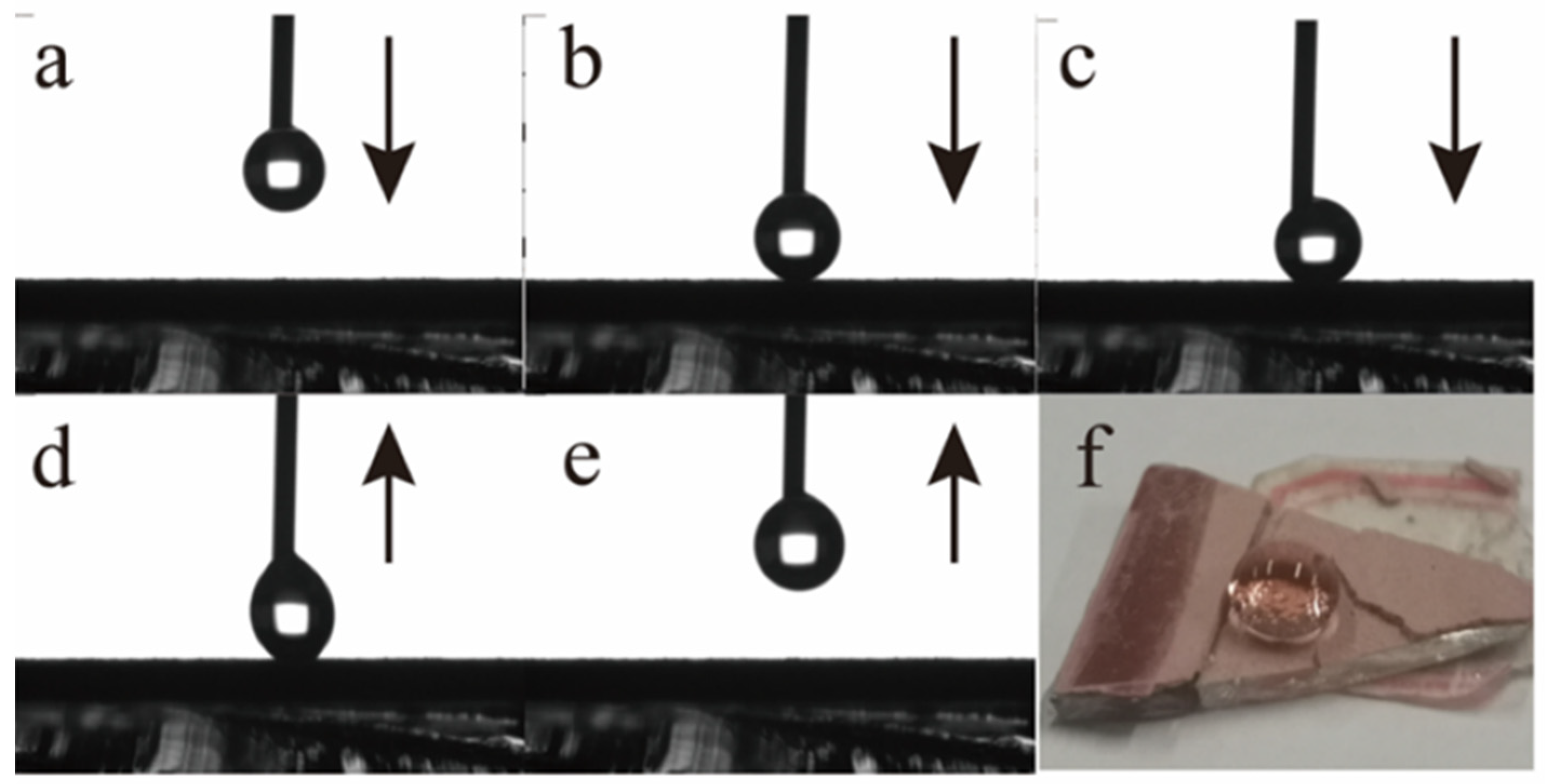 Coatings 14 00974 g006