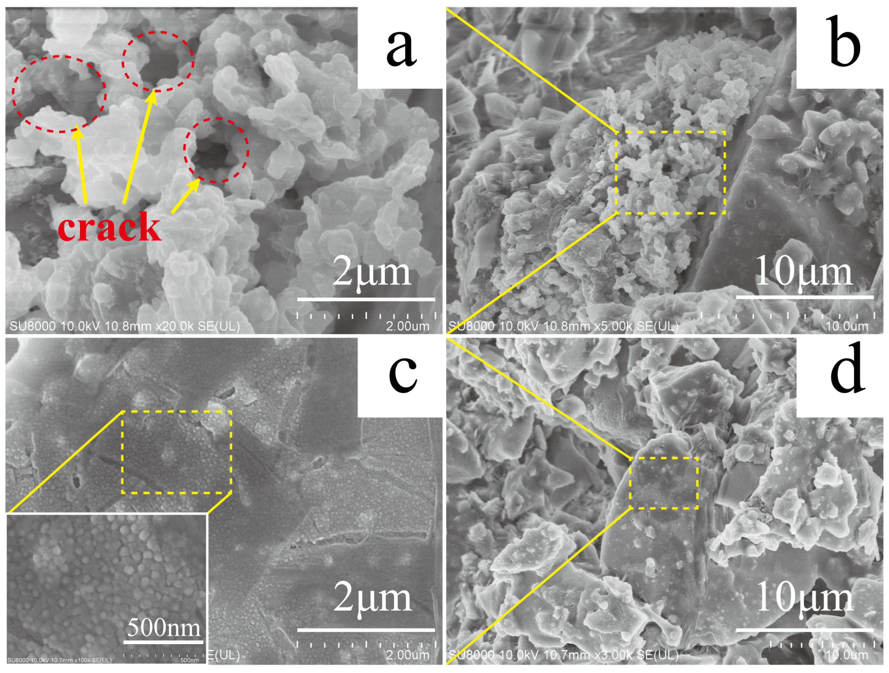 Coatings 14 00974 g007