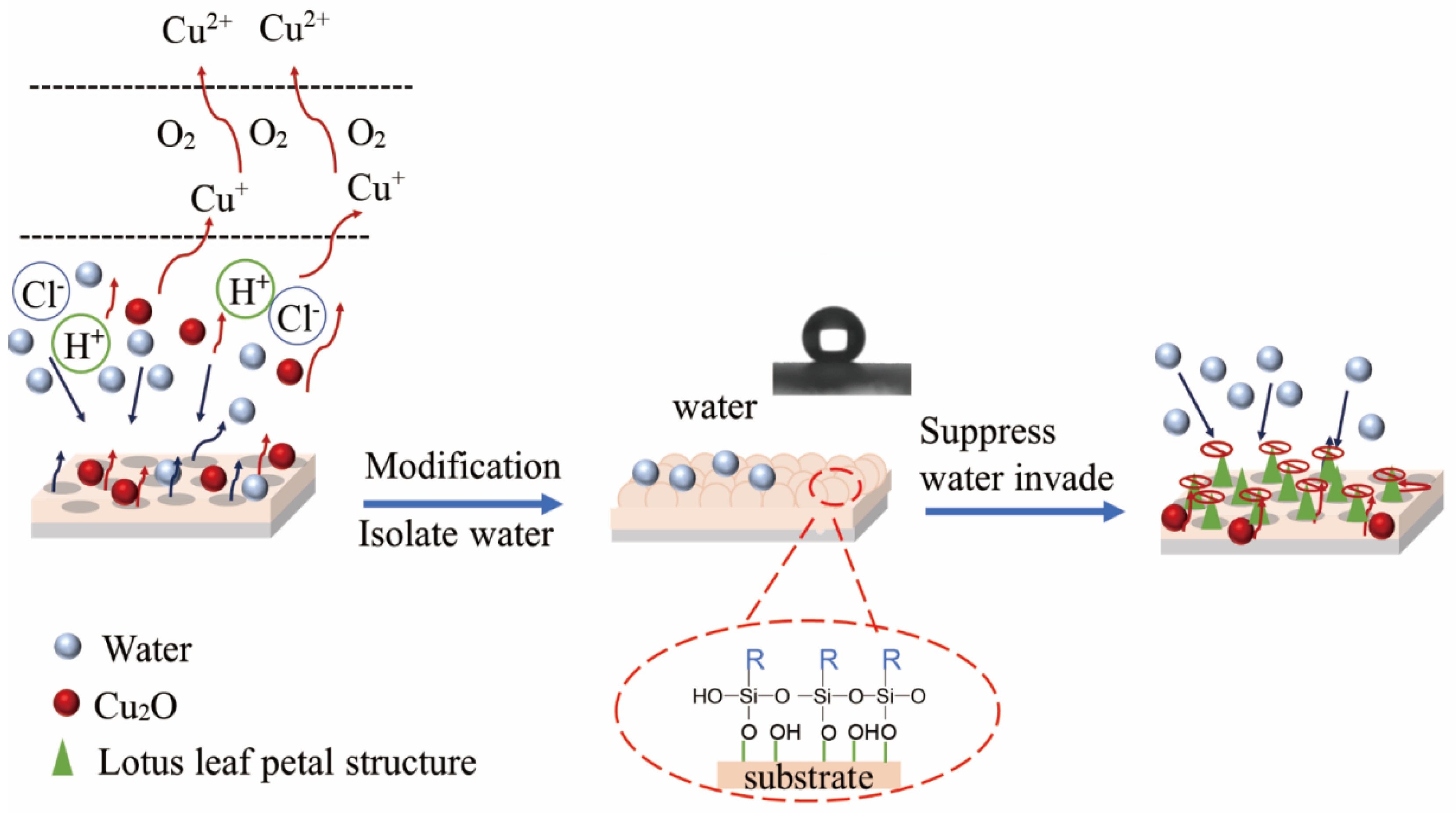 Coatings 14 00974 g014