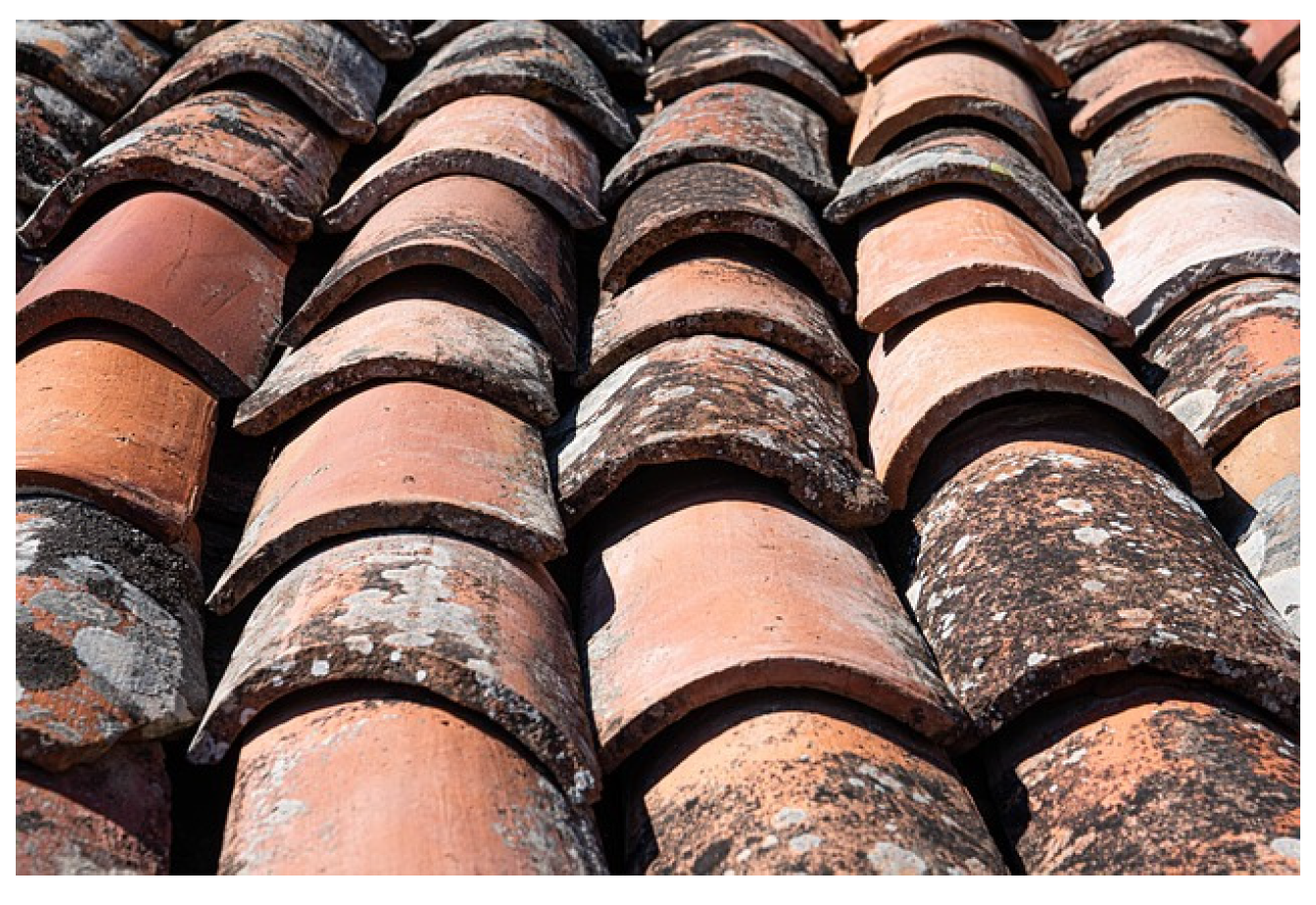 Coatings 14 00985 g005