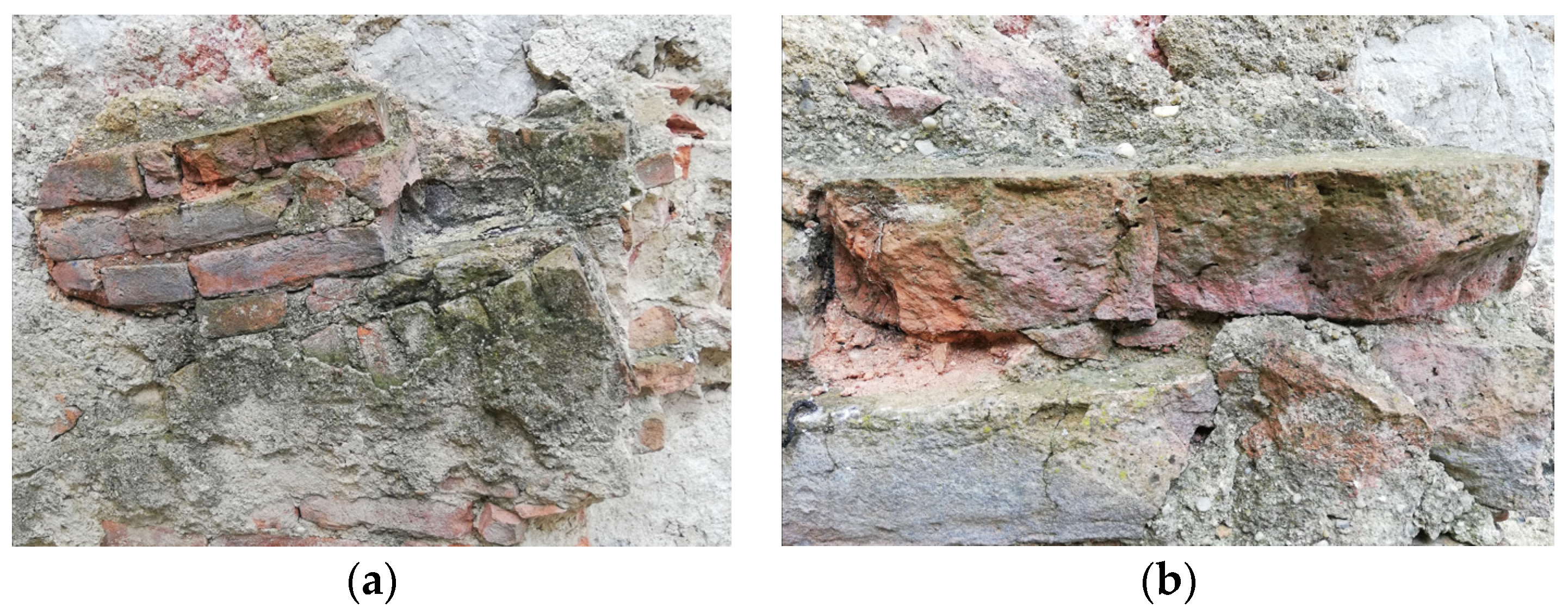 Coatings 14 00985 g006