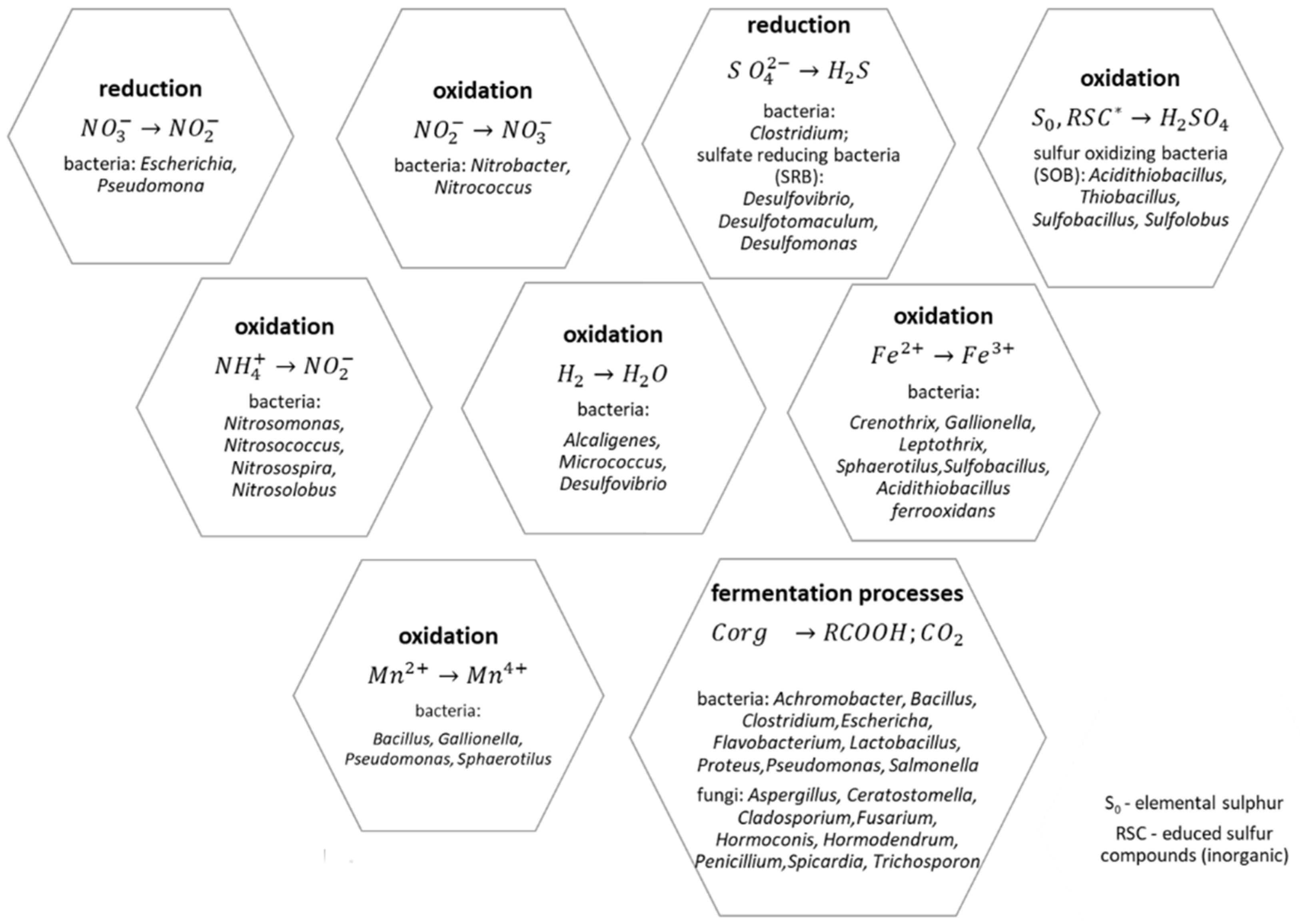 Coatings 14 00985 g007