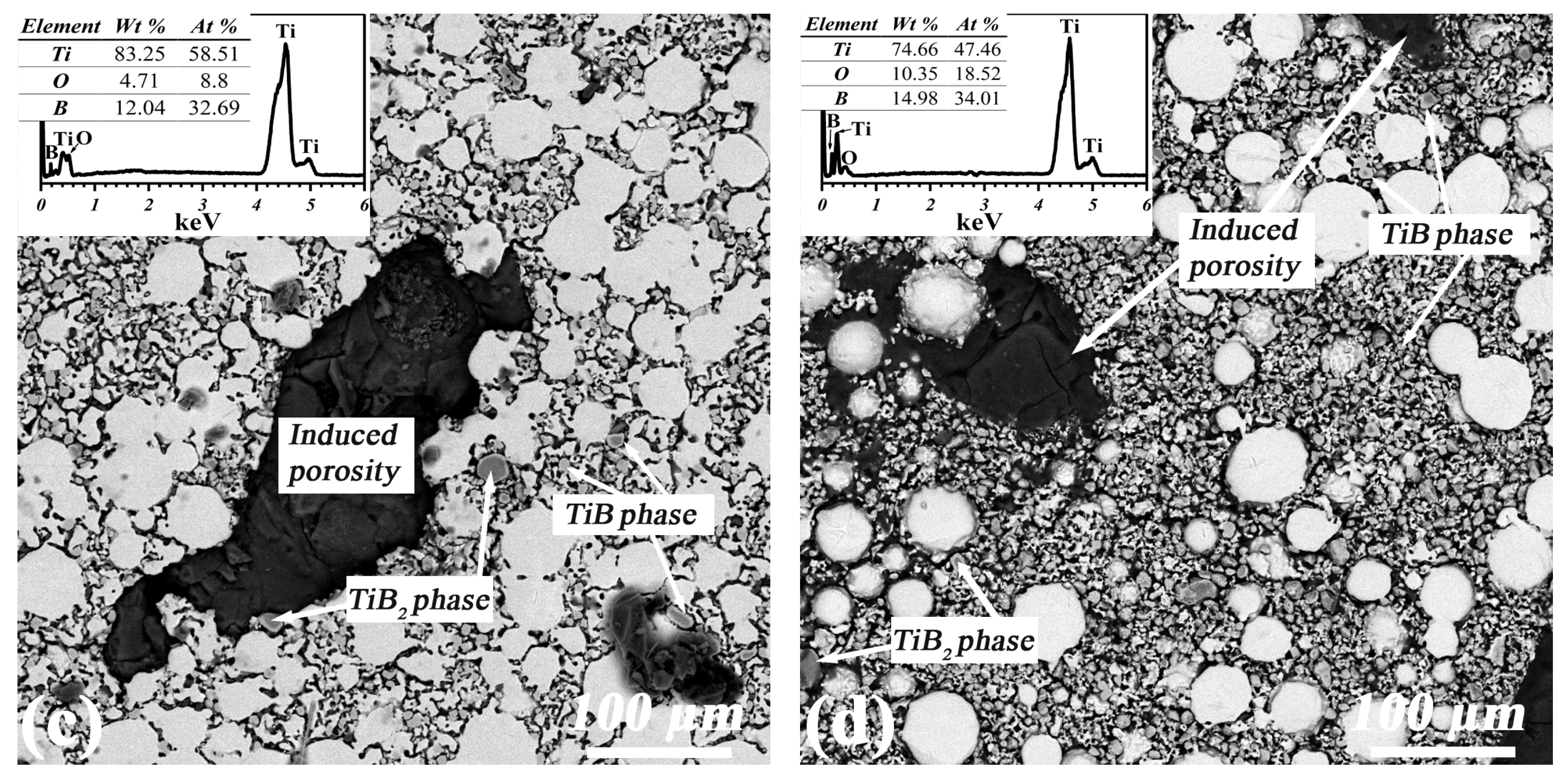 Coatings 14 00991 g005b