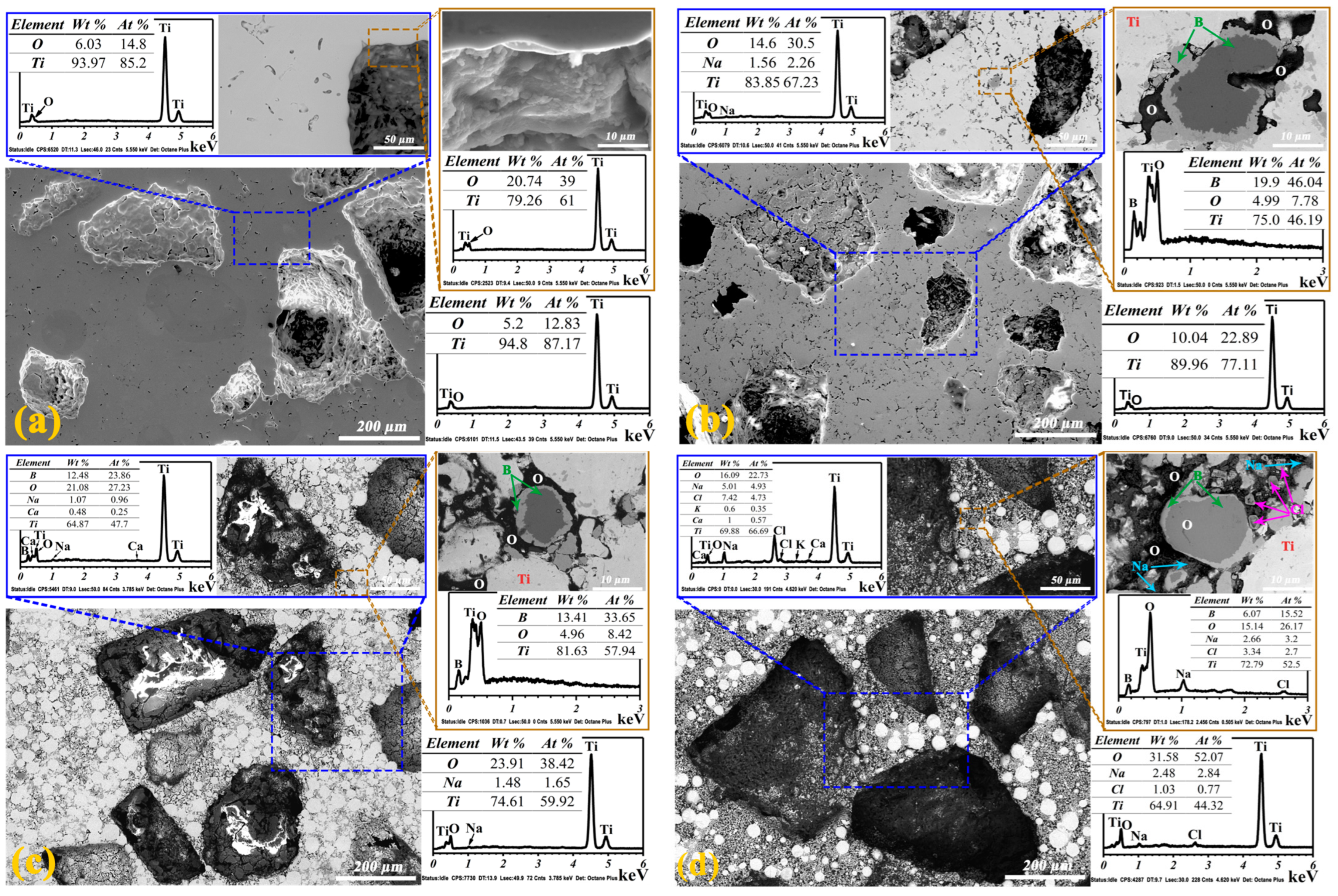 Coatings 14 00991 g009