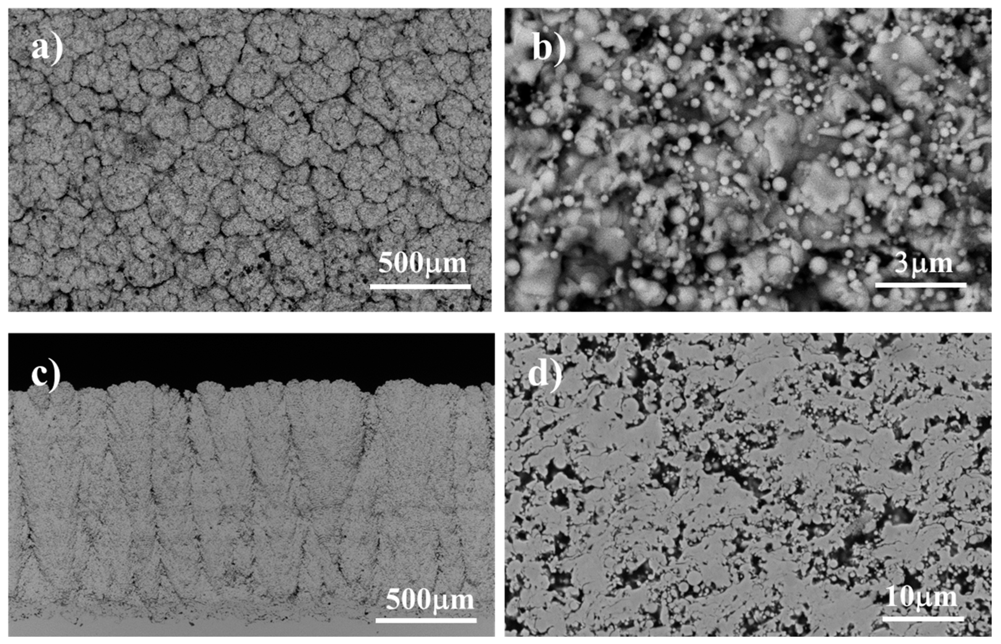 Coatings 14 00996 g004