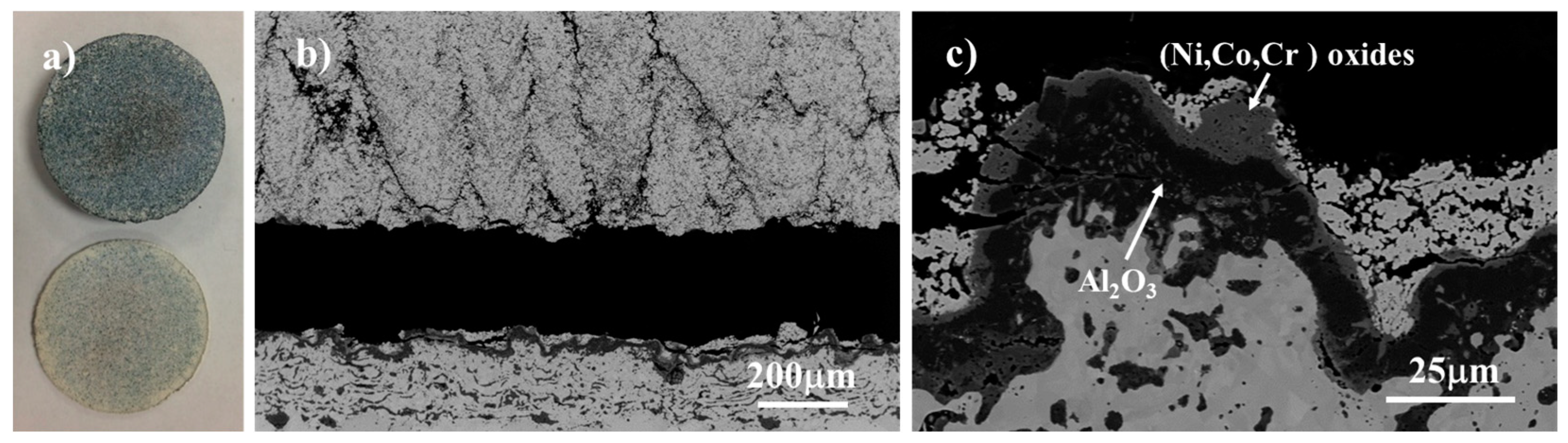 Coatings 14 00996 g006