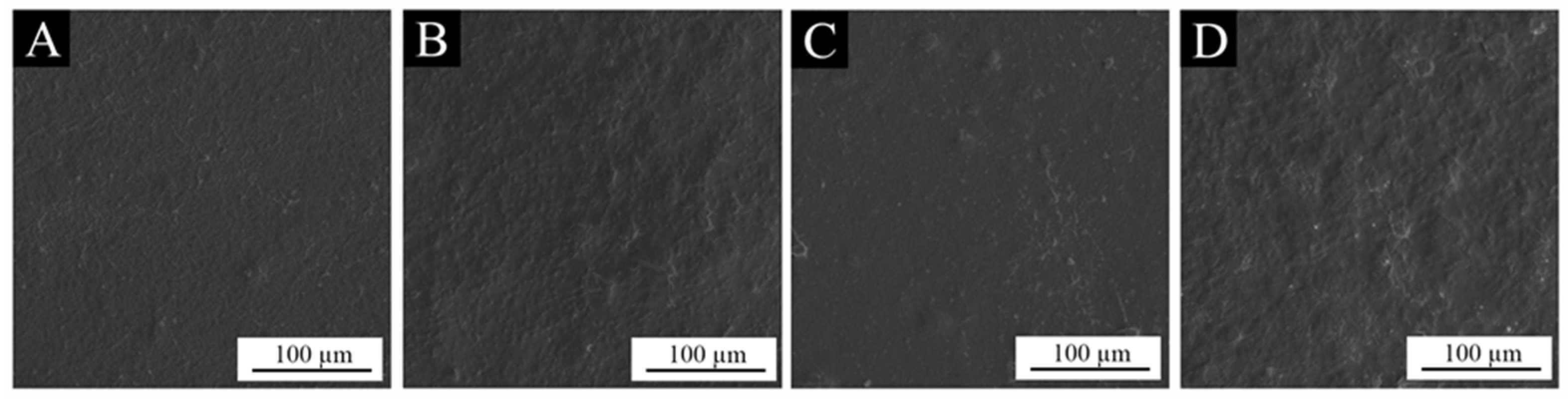 Coatings 14 01003 g007