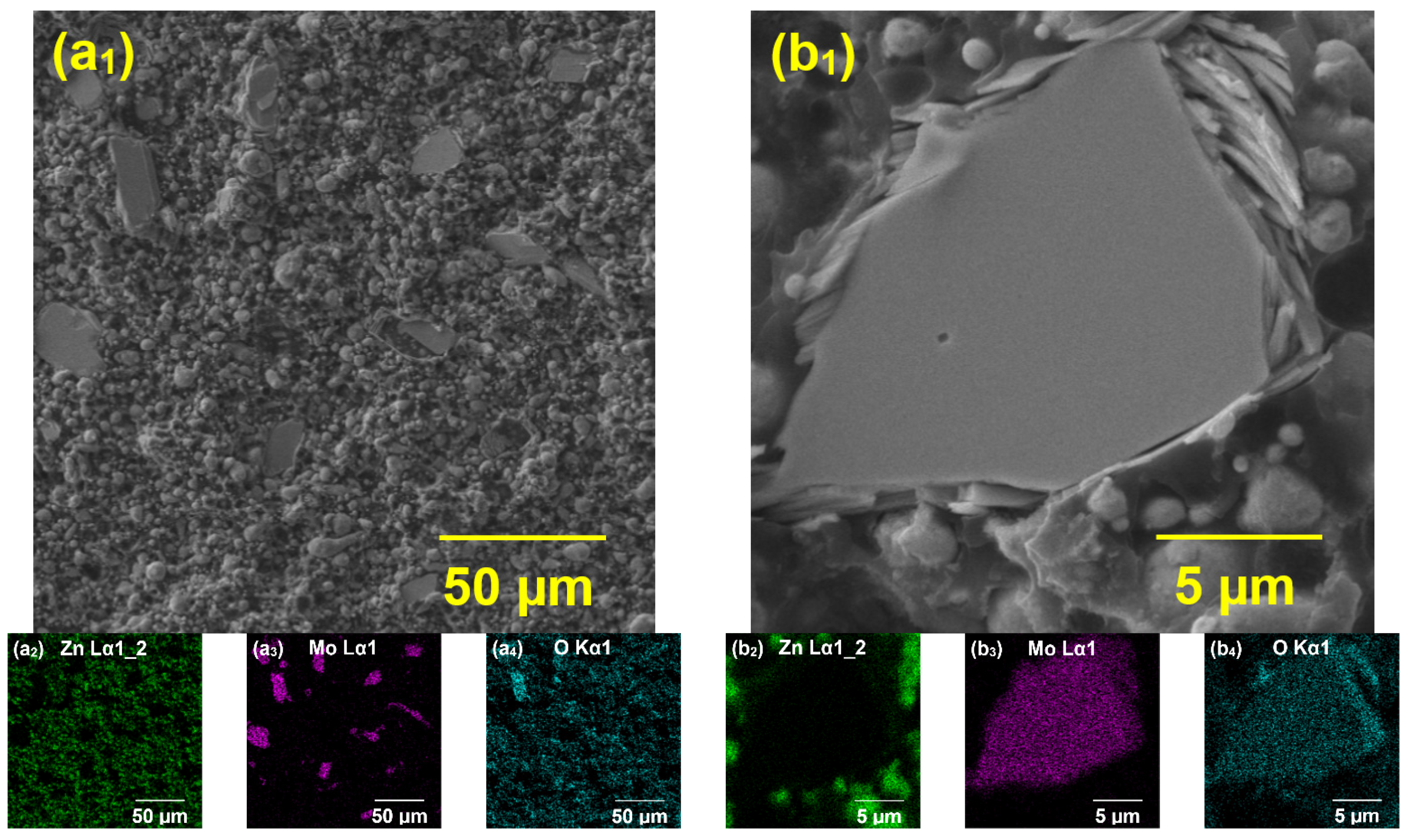 Coatings 14 01009 g004