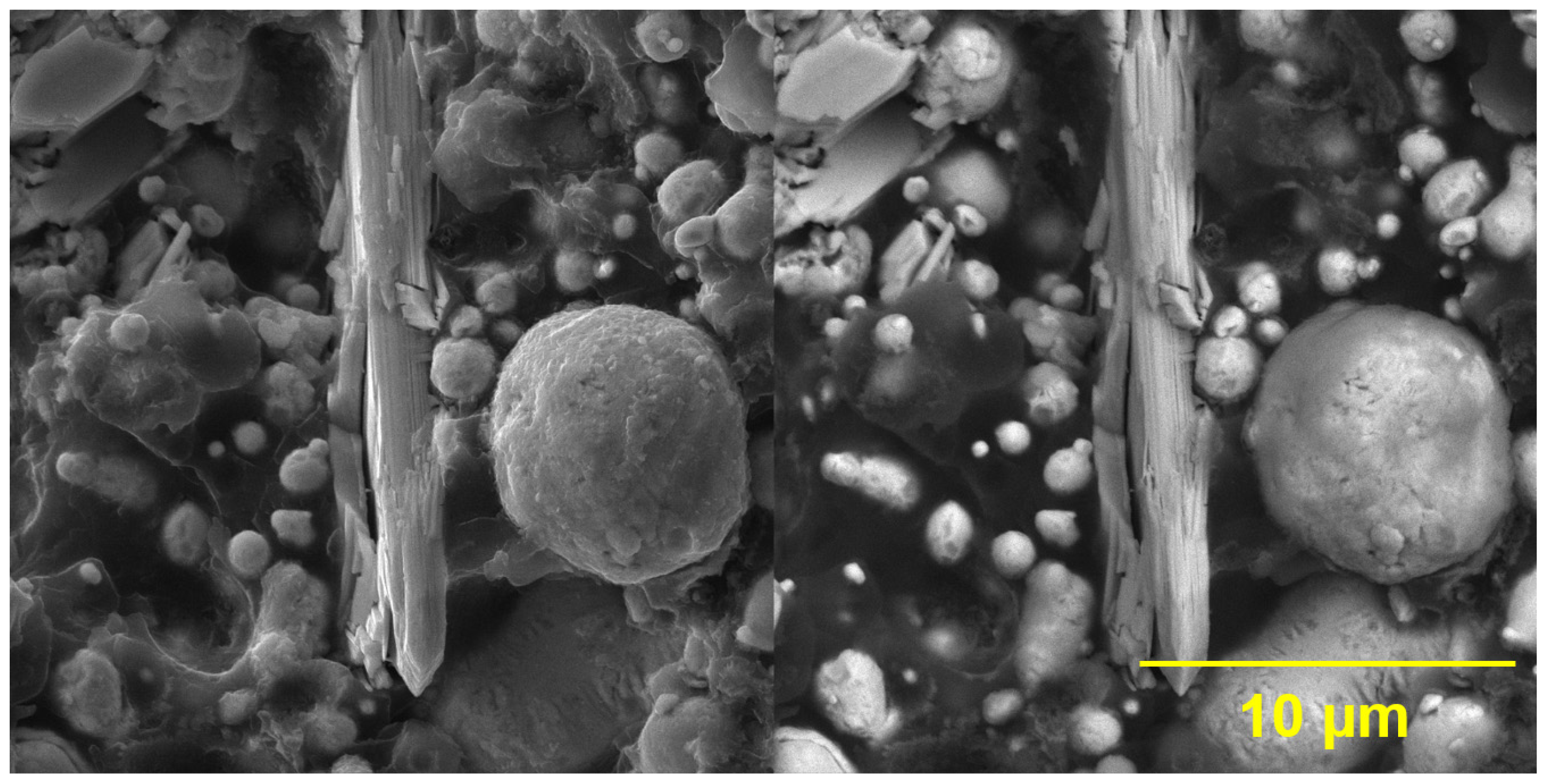 Coatings 14 01009 g005